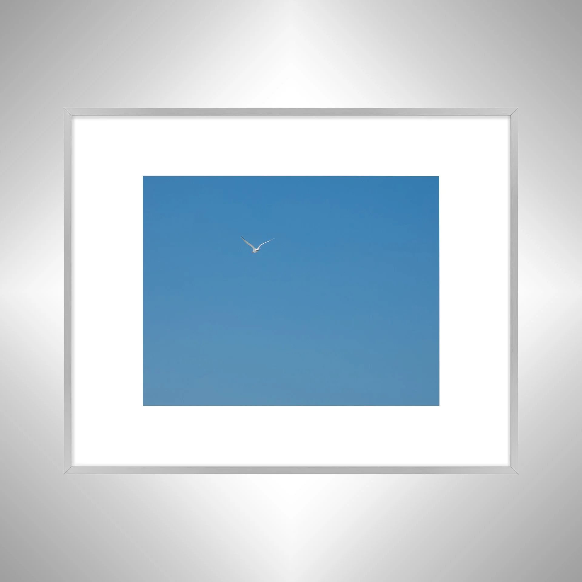 1:10 Seagull Flying Away- Silver w: Border.jpg