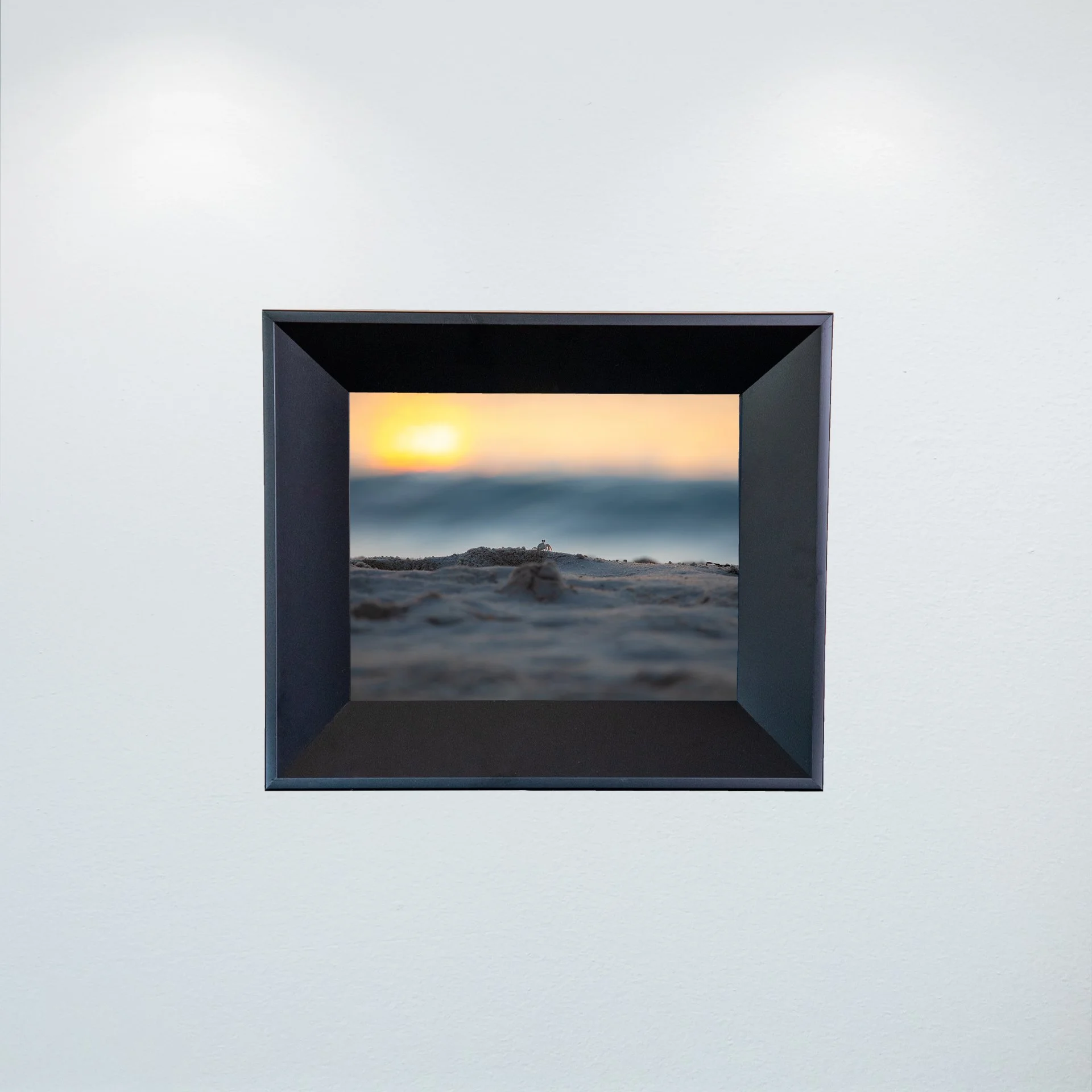 1:10 Ghost Crab Watching Wavebreak in Duck, NC- Mini.jpg