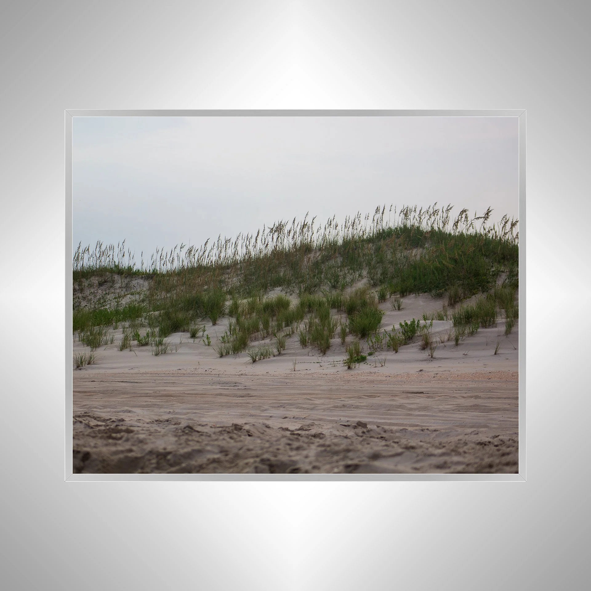 1:10 Ocracoke Dune Oats (Landscape)- Silver.jpg