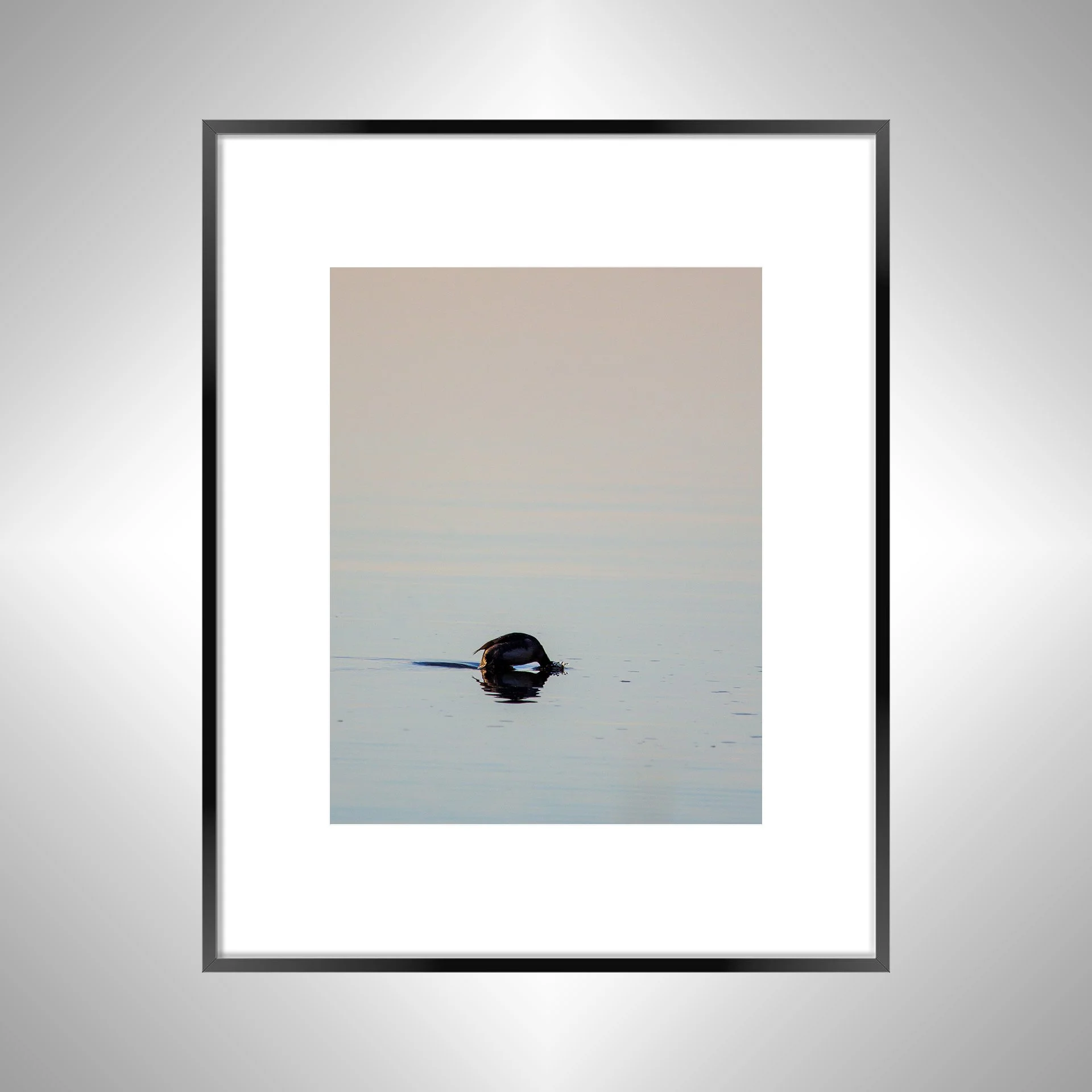 1:1 Bufflehead on Lafayette Diving- Black Metal w: Border.jpg