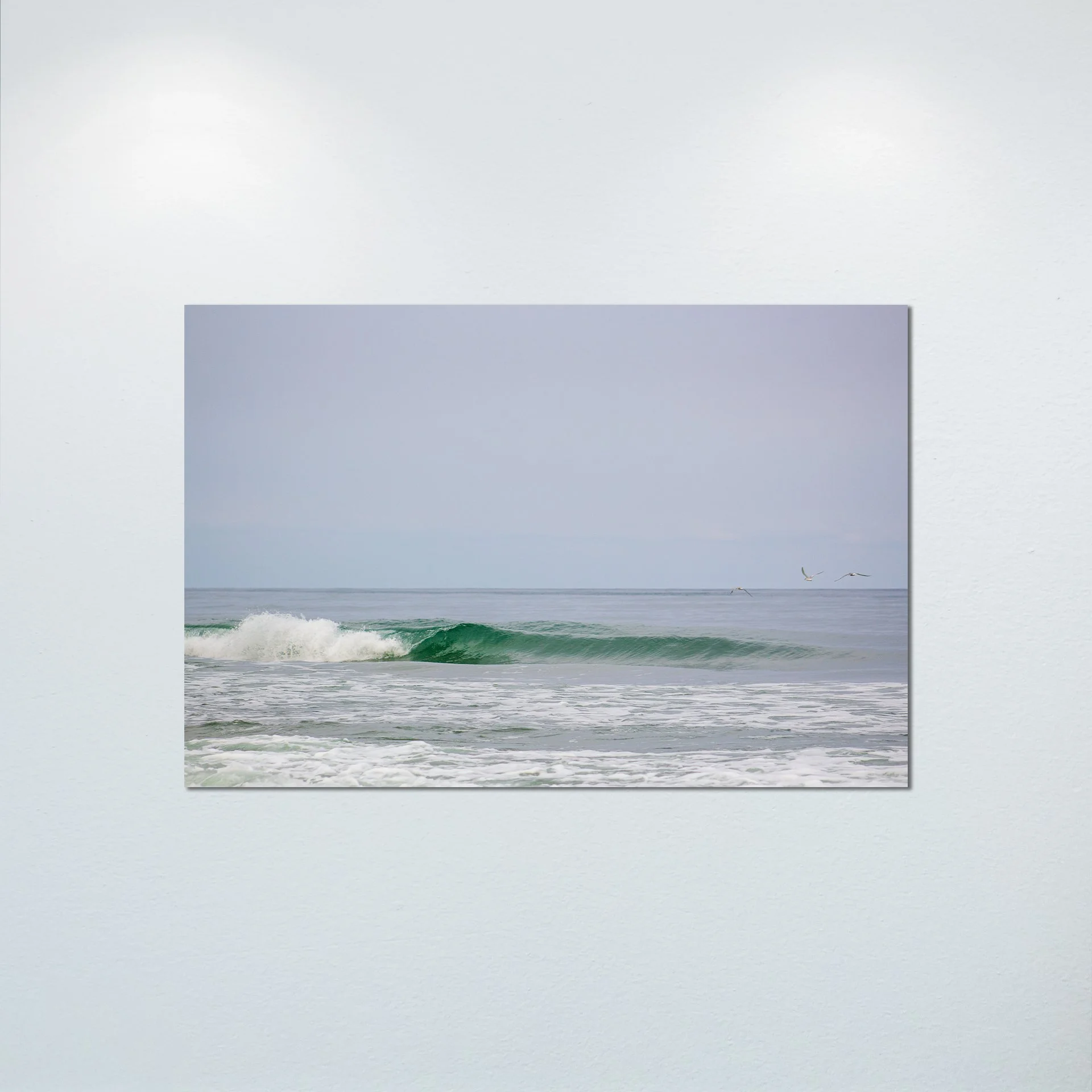 1:1 Trio of Seagulls Flying by Barrel- Poster & Canvas.jpg