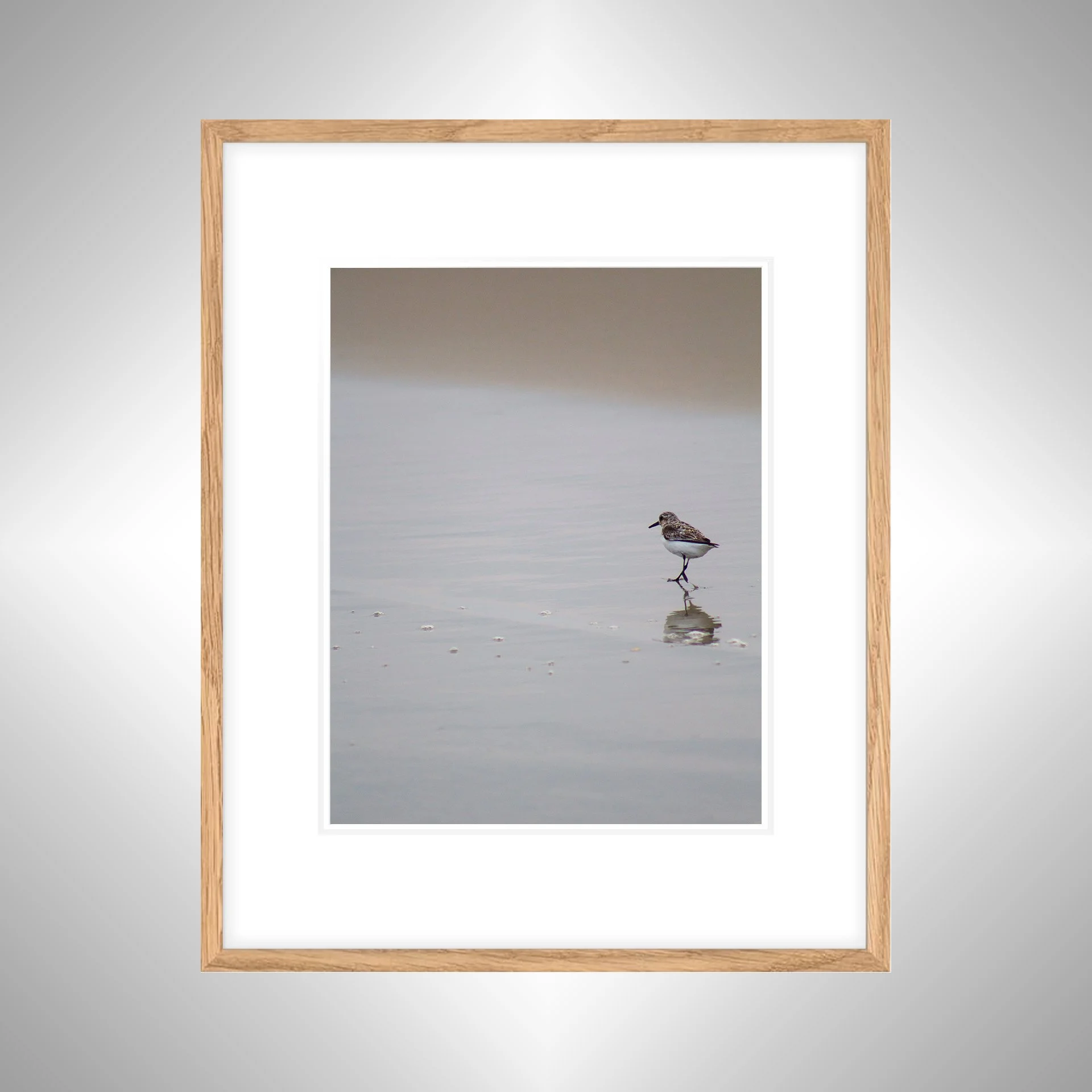 1:1 Sanderling Reflection- White w: Border copy NATTY.jpg