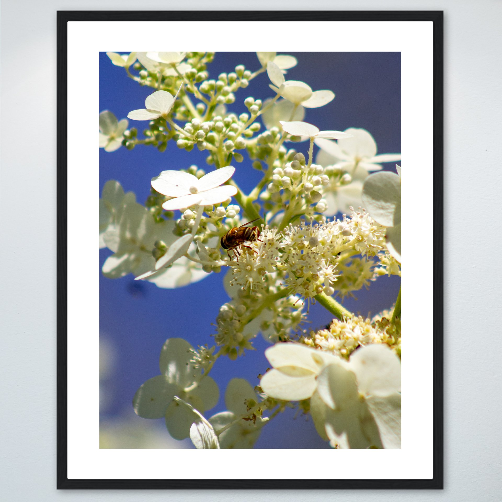 1:1 Pollinator in Sun- Wood w: Border.jpg