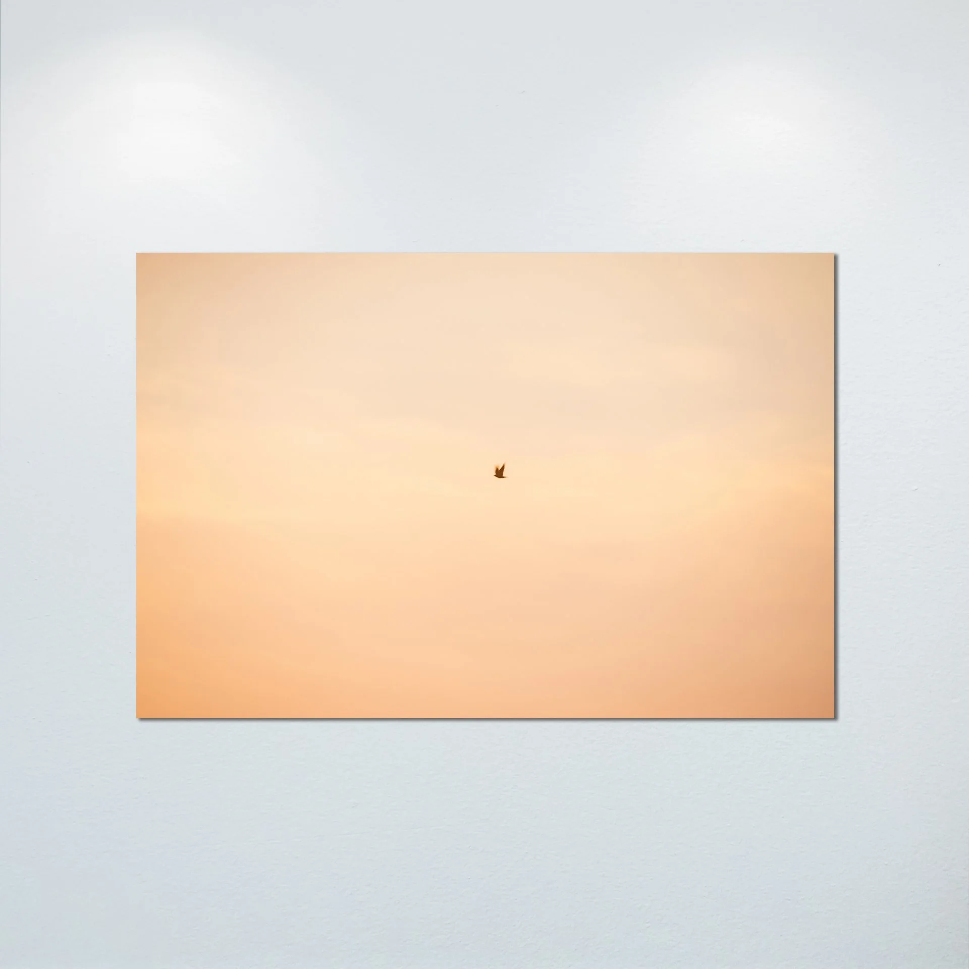 1/1 Slow Shutter Sunrise Seagull