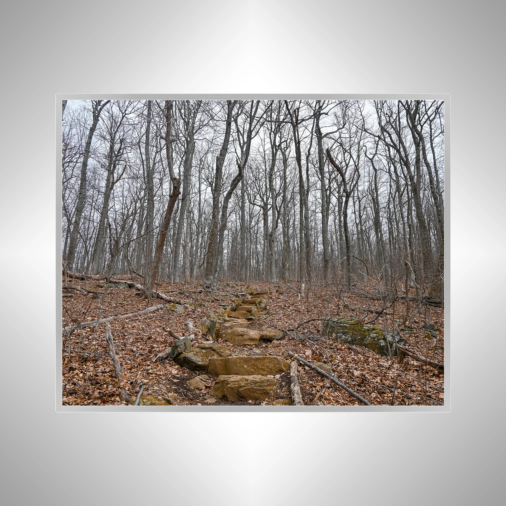 1:1 Nellysford Mountain Rock Staircase in Winter- Silver Metal.jpg
