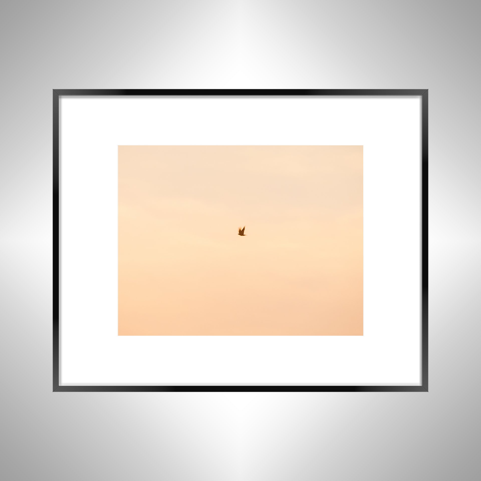 1:1 Slow Shutter Sunrise Seagull- Black w: Border.jpg
