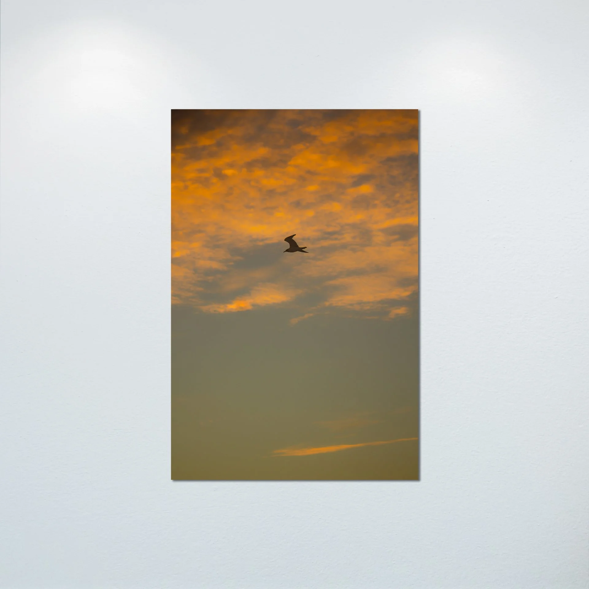 1:1 Seagull Flying with Orange Clouds- Poster & Canvas.jpg