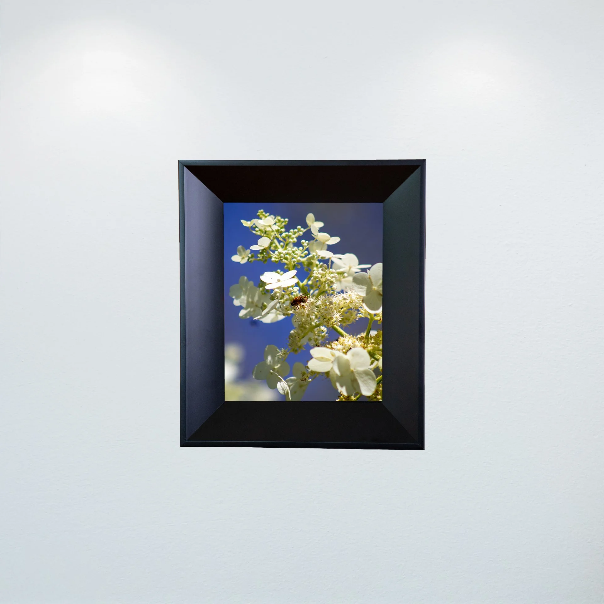 1:1 Pollinator in Sun- Mini.jpg