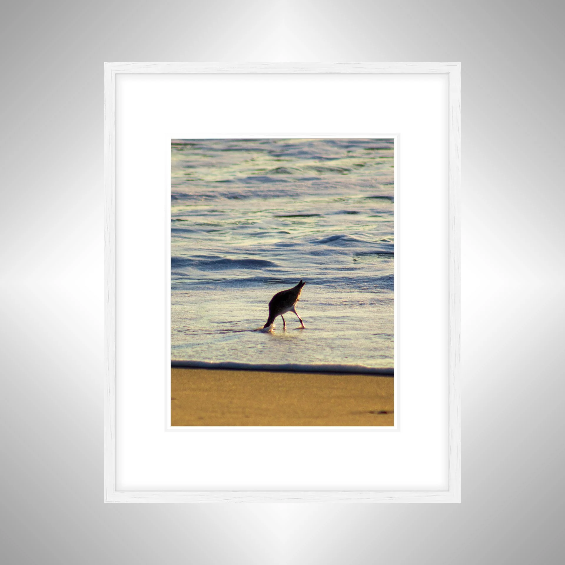 1:1 Willet Hunting- Whitn w: Border.jpg