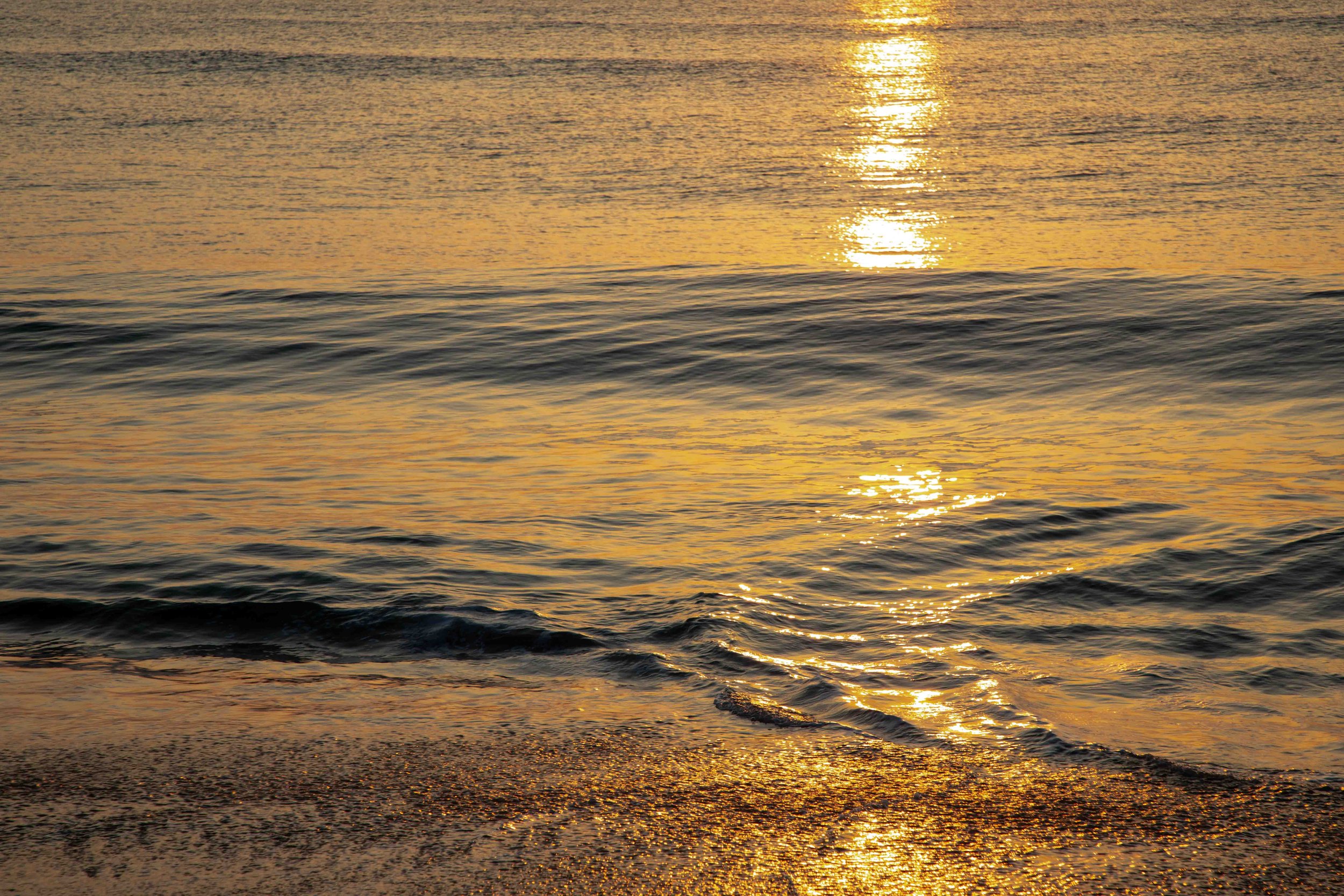 1:10 Ocean in the Sun.jpg