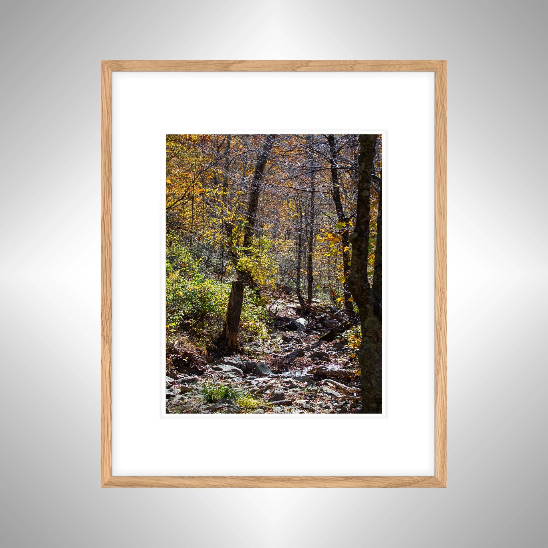 1:1 Shenandoah National Park Rocky Trail- White w: Border copy NATTY.jpg