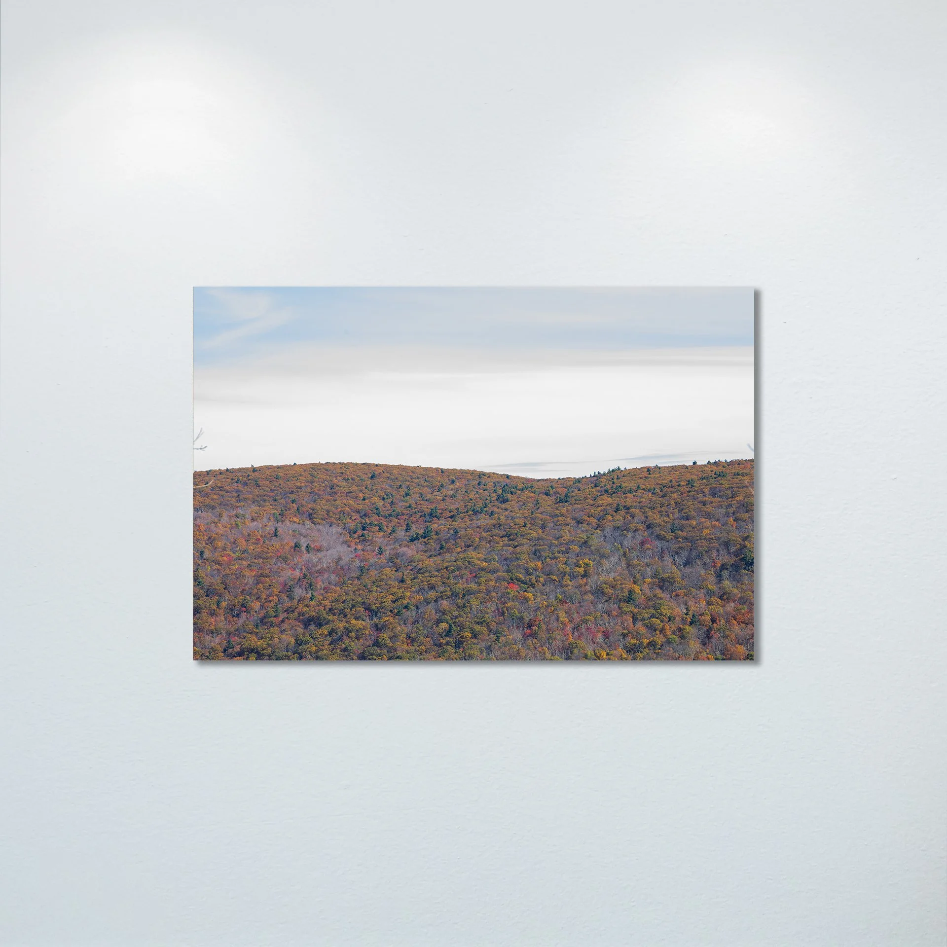 1:1 Shenandoah Mountain Tree Canopy at Fall- Poster & Canvas.jpg