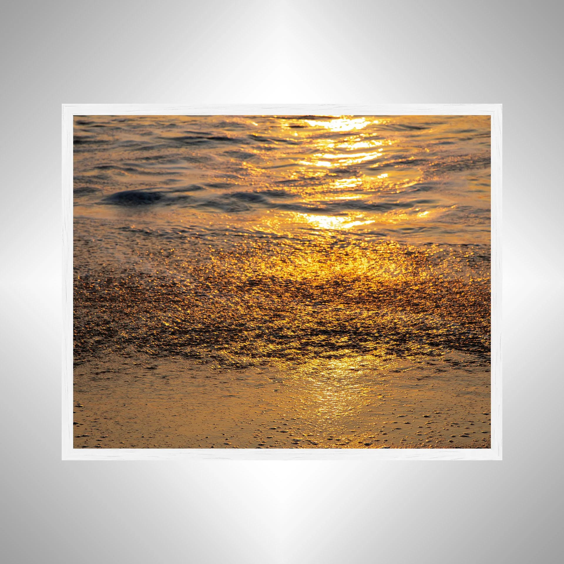 1:1 Sand Fiddler Sunrise- White.jpg