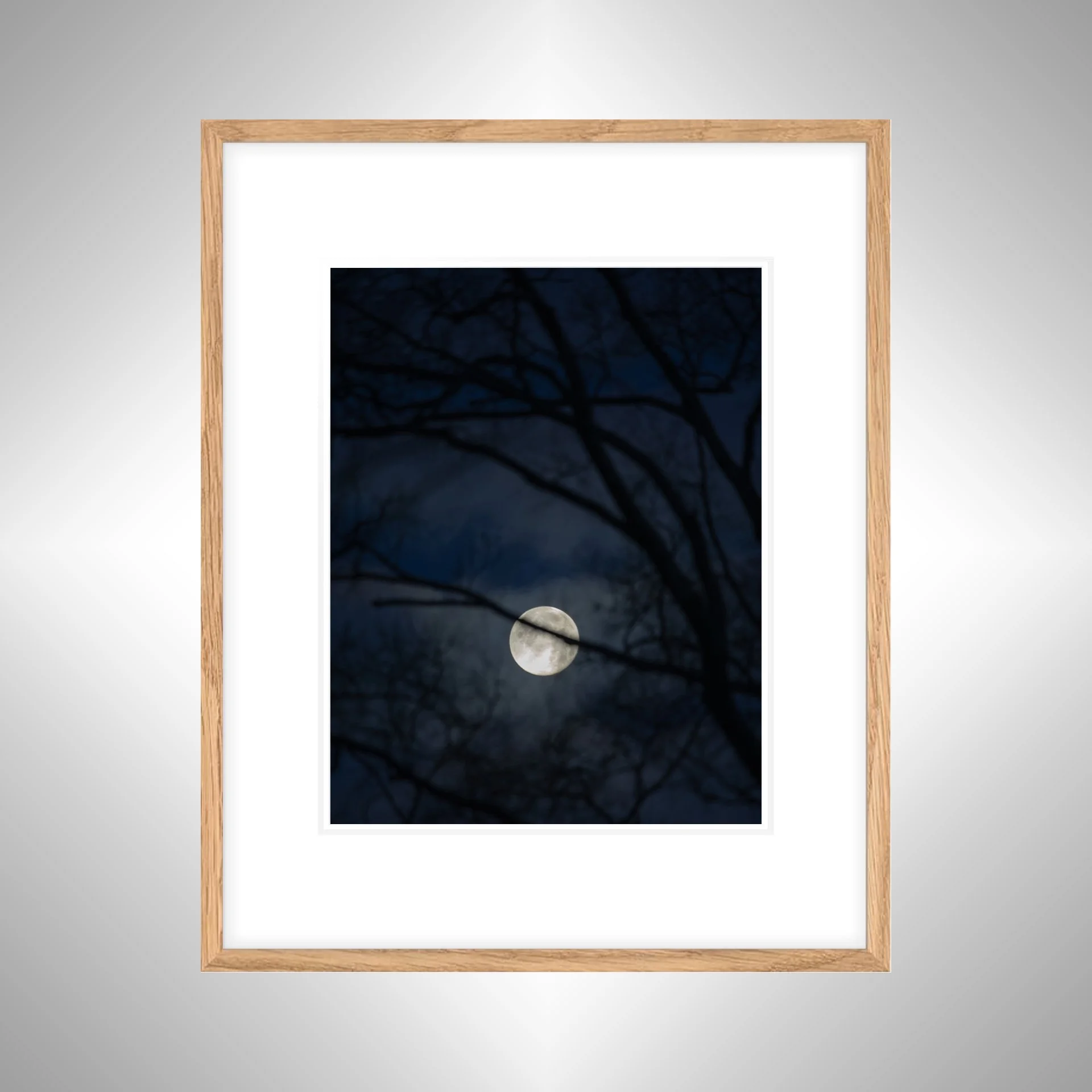 1:10 Moon thru Tree Branches- White w: Border copy NATTY.jpg