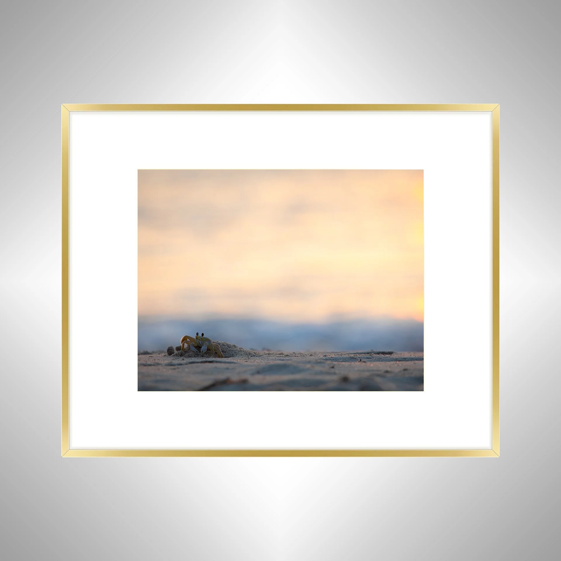 1:1 Ghost Crab Profile- Gold Metal w: Border.jpg