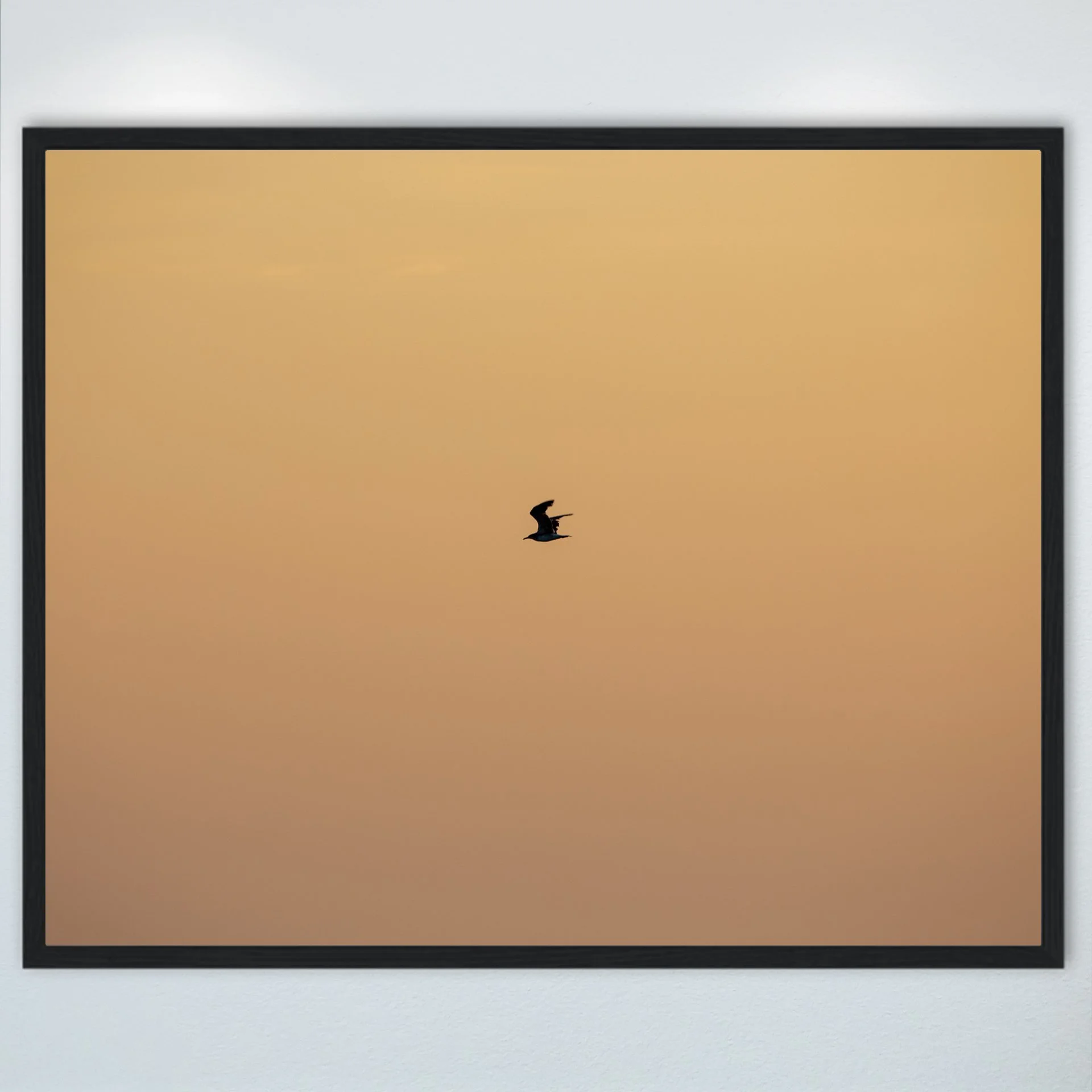 1:10 Orange Side Glider in Duck, NC- Wood.jpg