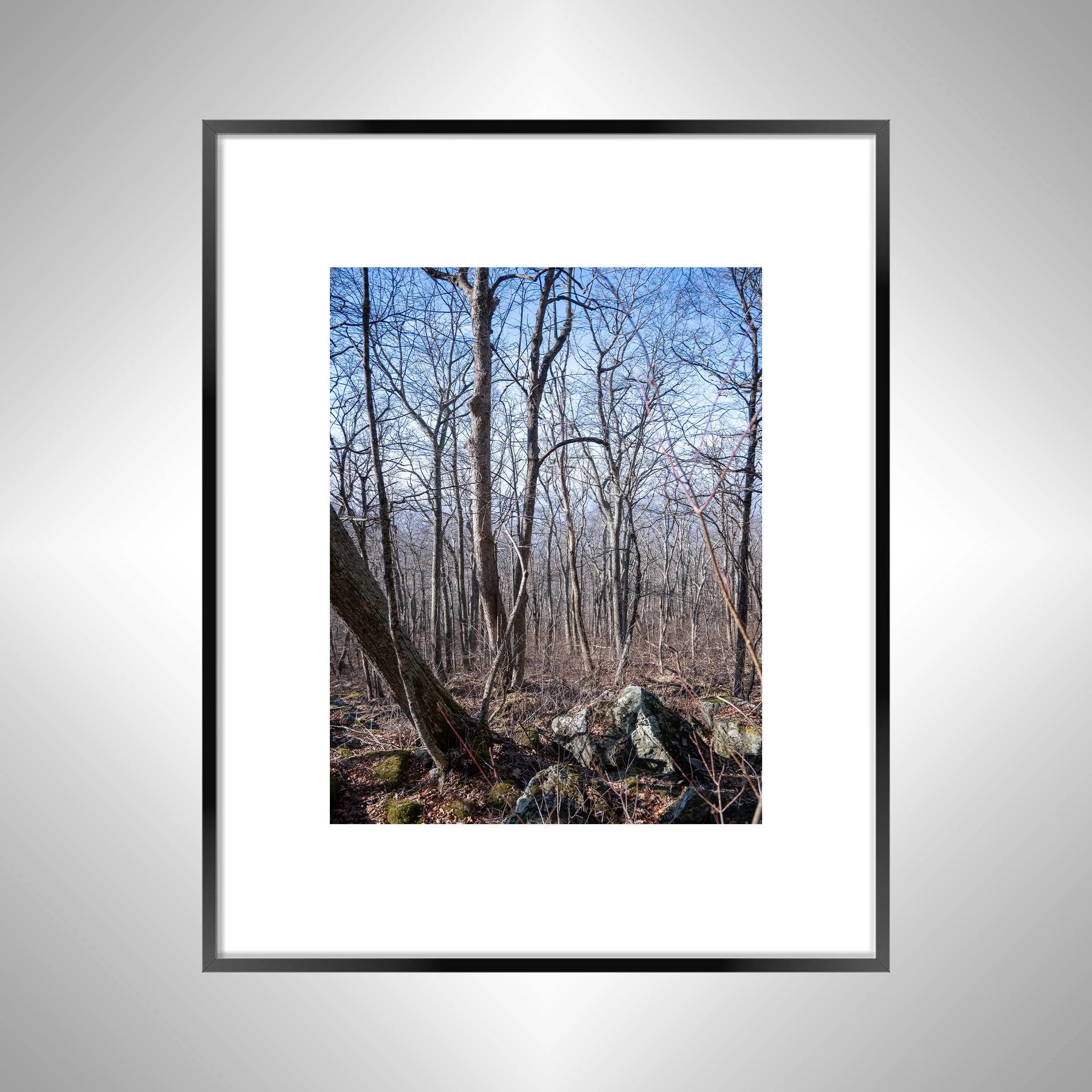 1:1 Shenandoah National Park Forest during Winter- Black w: Border.jpg