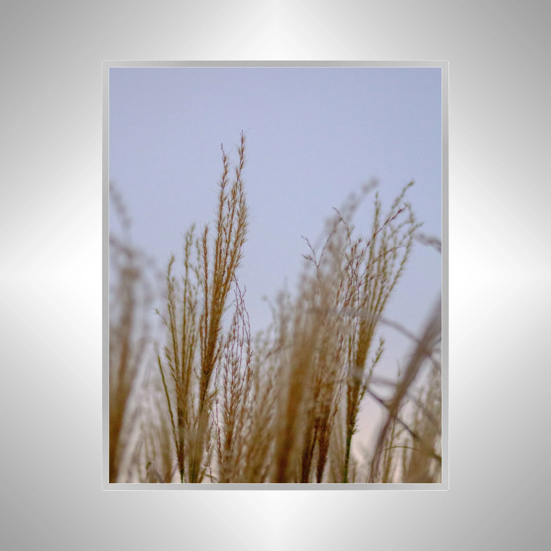 1:1 Lafayette River Oats- Silver Metal.jpg