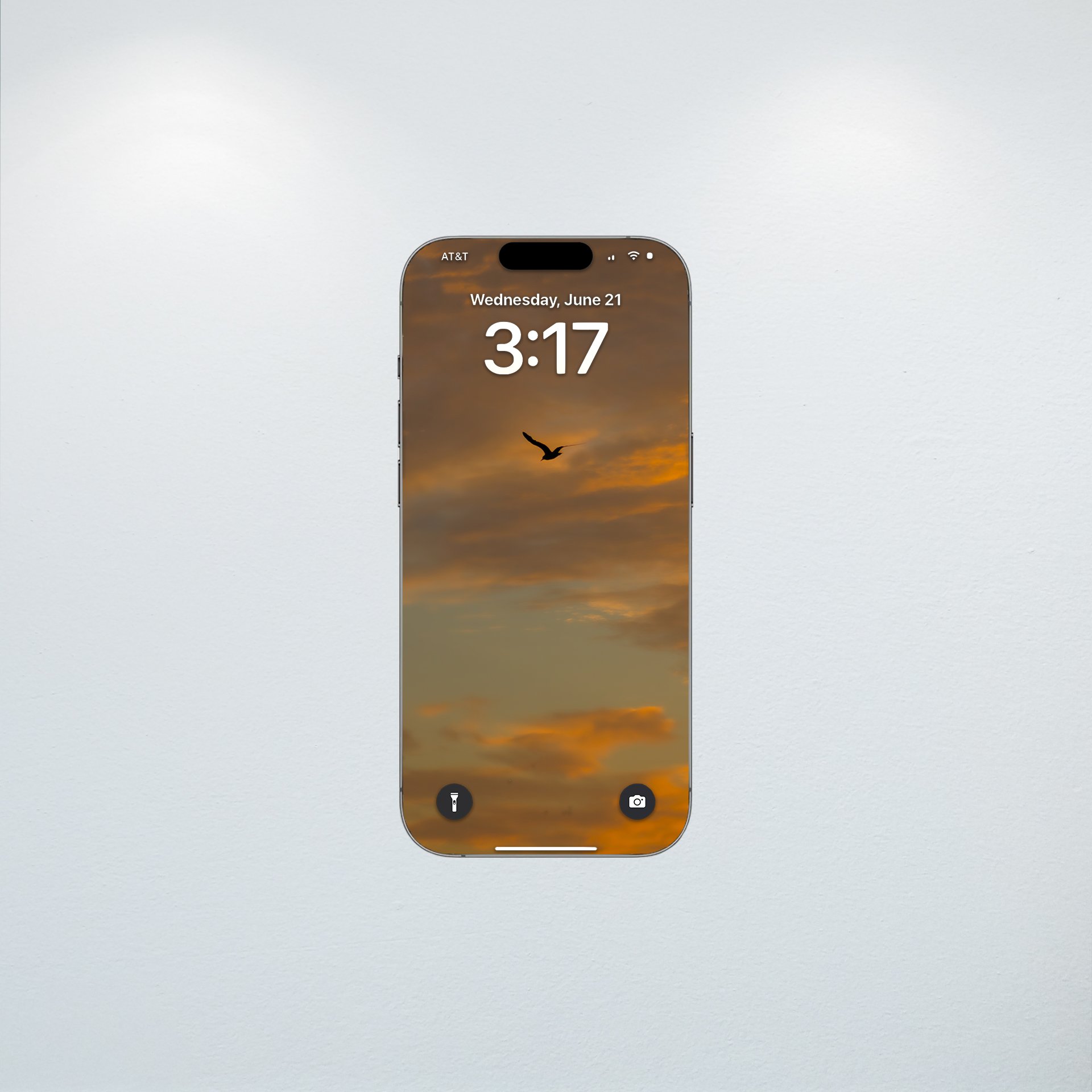 1:10 Seagull Soaring to Sunrise- Wallpaper.jpg