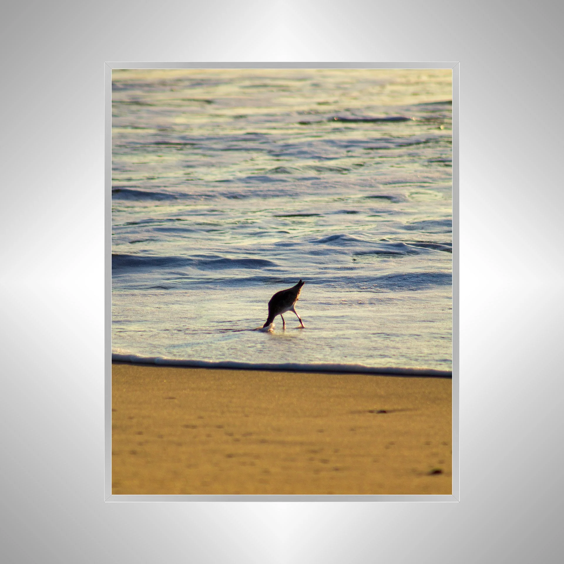 1:1 Willet Hunting-silver.jpg