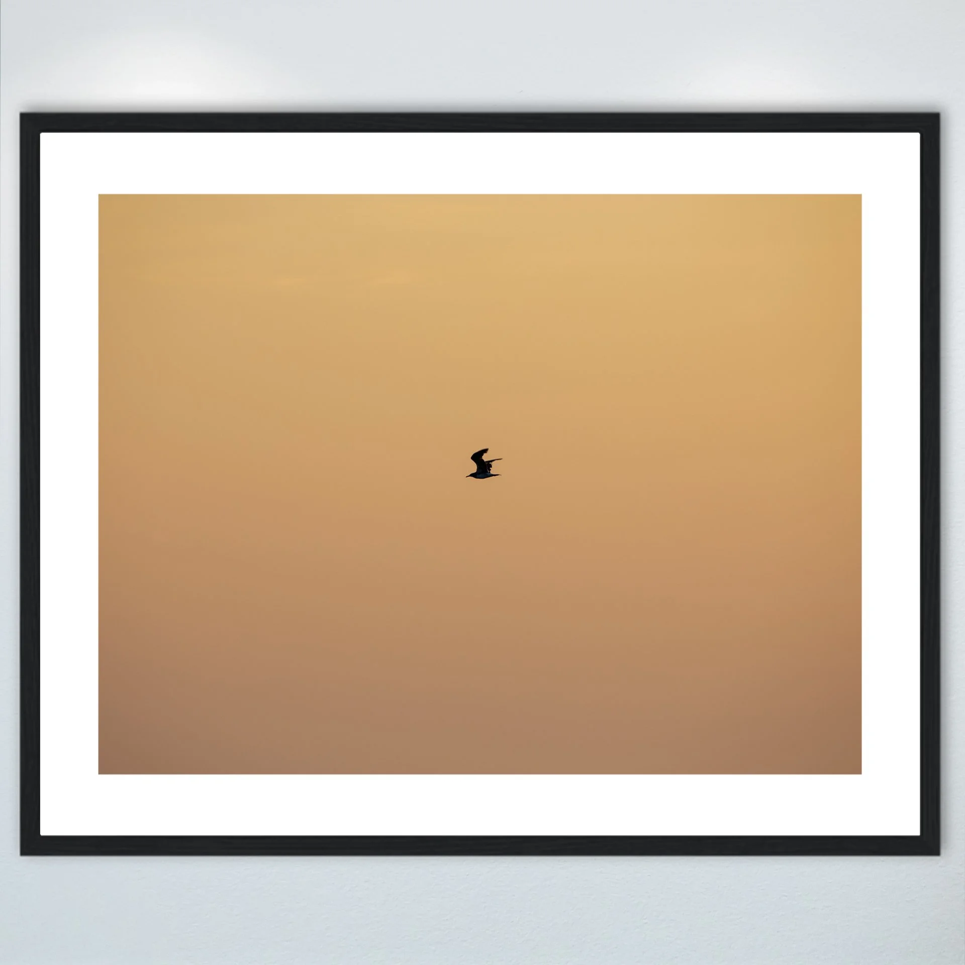 1:10 Orange Side Glider in Duck, NC- Wood w: Border.jpg