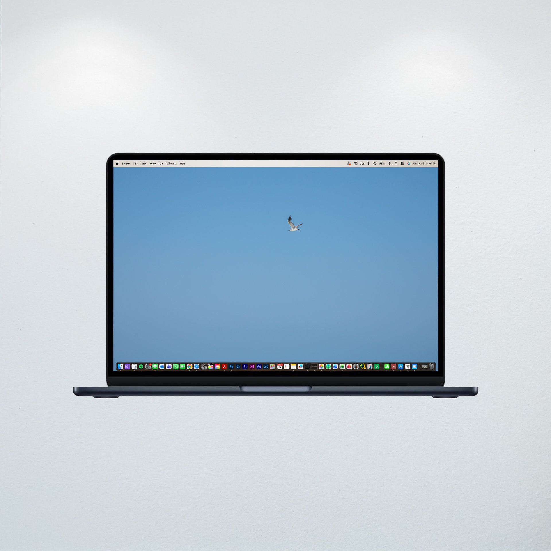 1:10 Blue Sky Seagull- Wallpaper.jpg