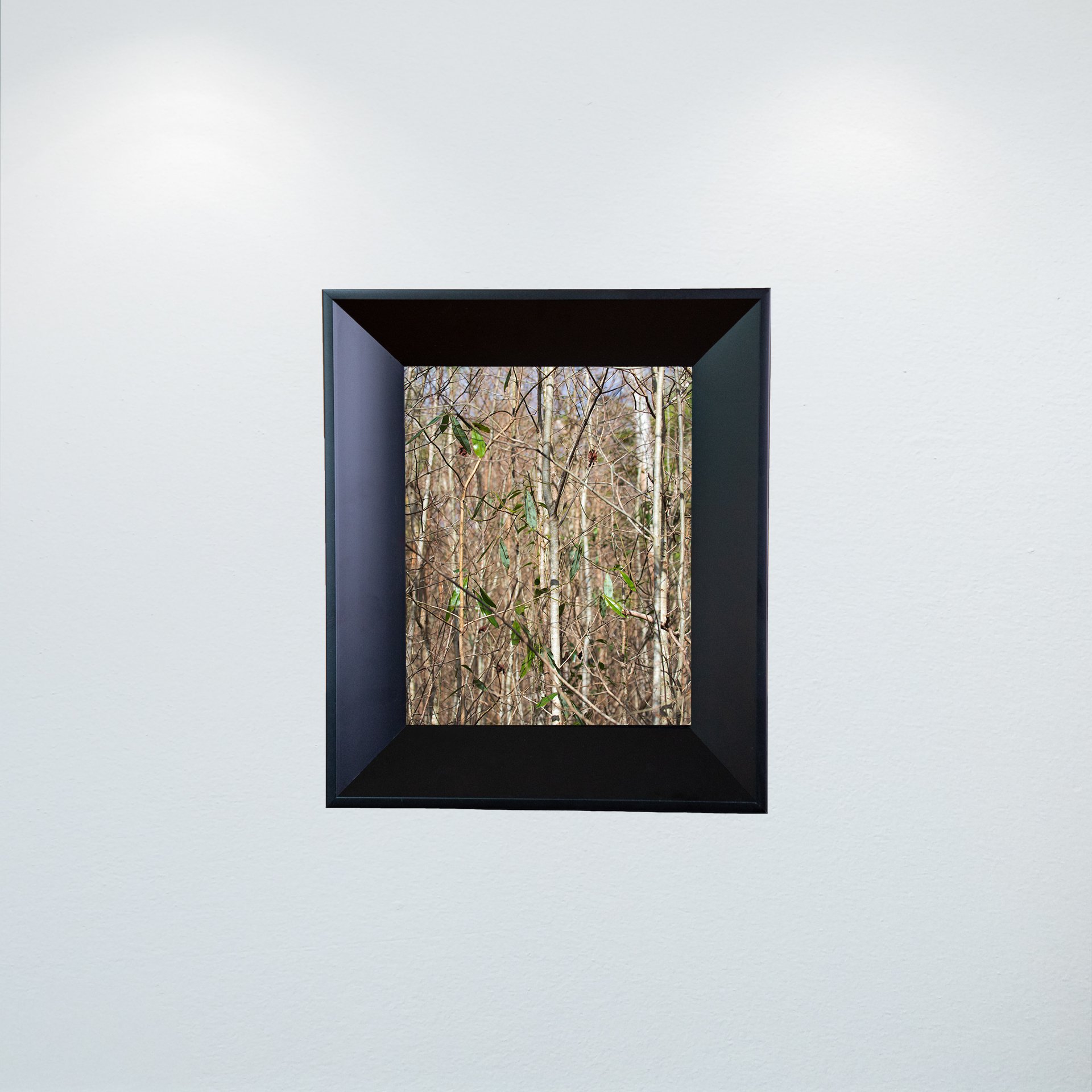 1:10 Hermitage Foliage- Mini.jpg