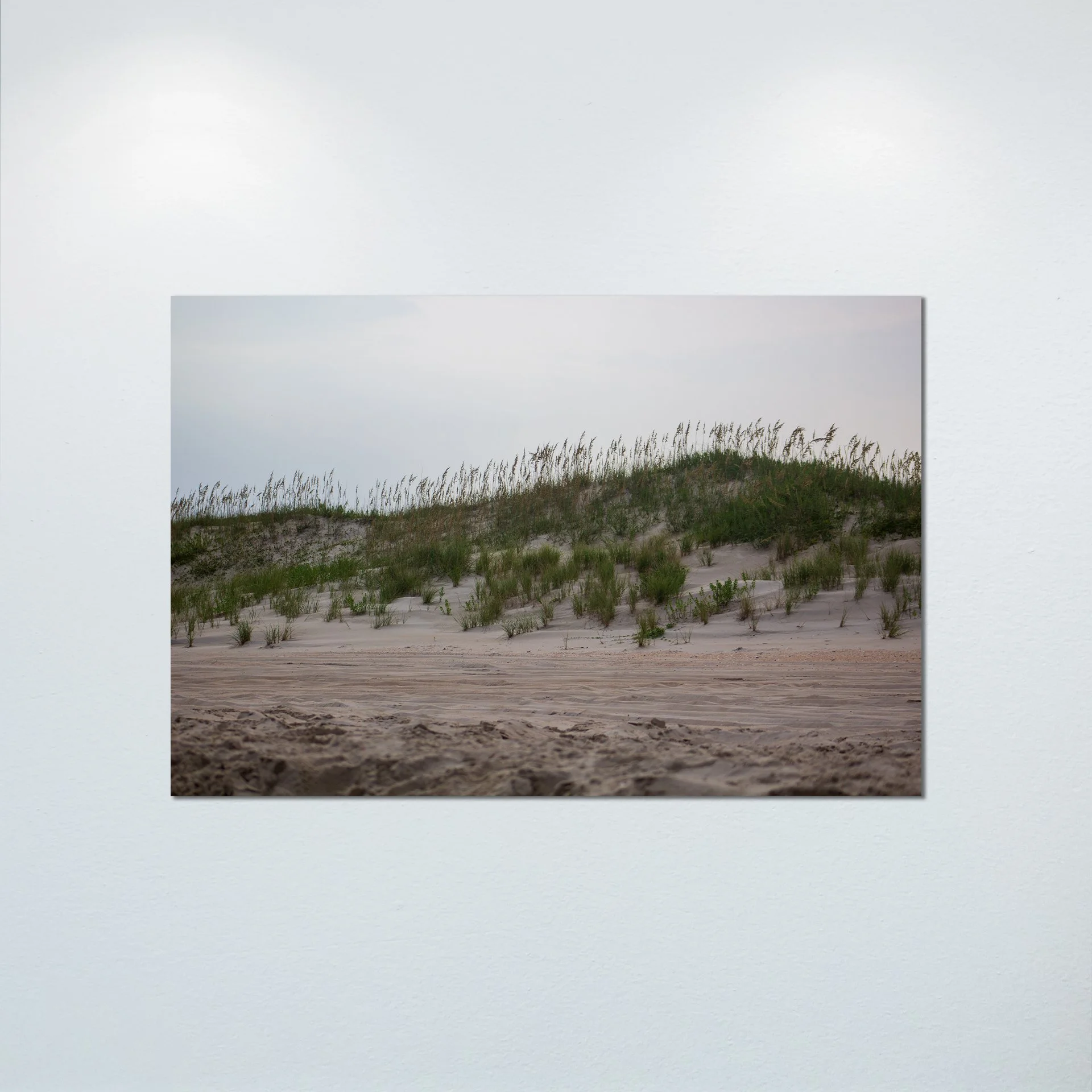 1:10 Ocracoke Dune Oats (Landscape)- Poster & Canvas.jpg