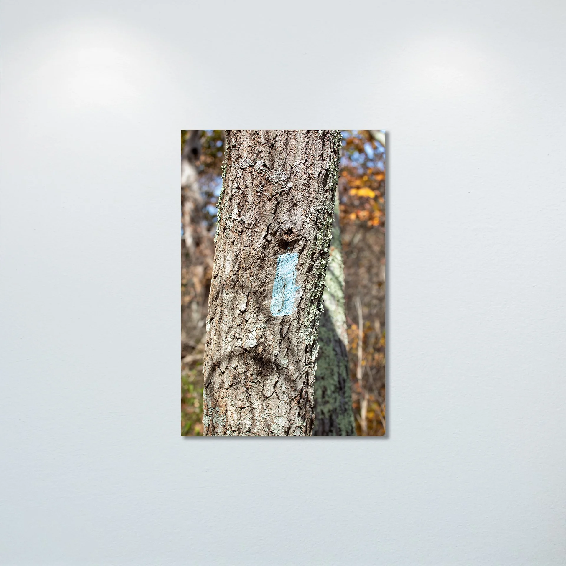 1:10 Appalachian Trail Blaze- Poster & Canvas.jpg
