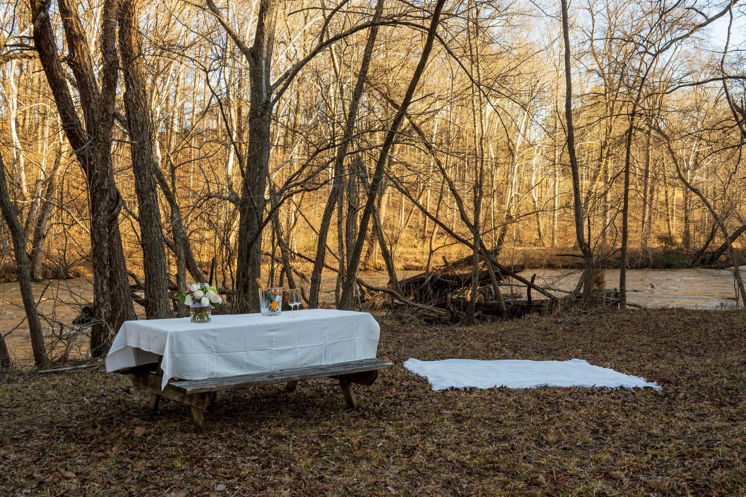 An outdoor picnic setup near a river with a wooden picnic table covered with a white tablecloth, a floral centerpiece, and a white blanket on the ground. Engagement Photography by Will Locke near Richmond, VA in Montpelier. 