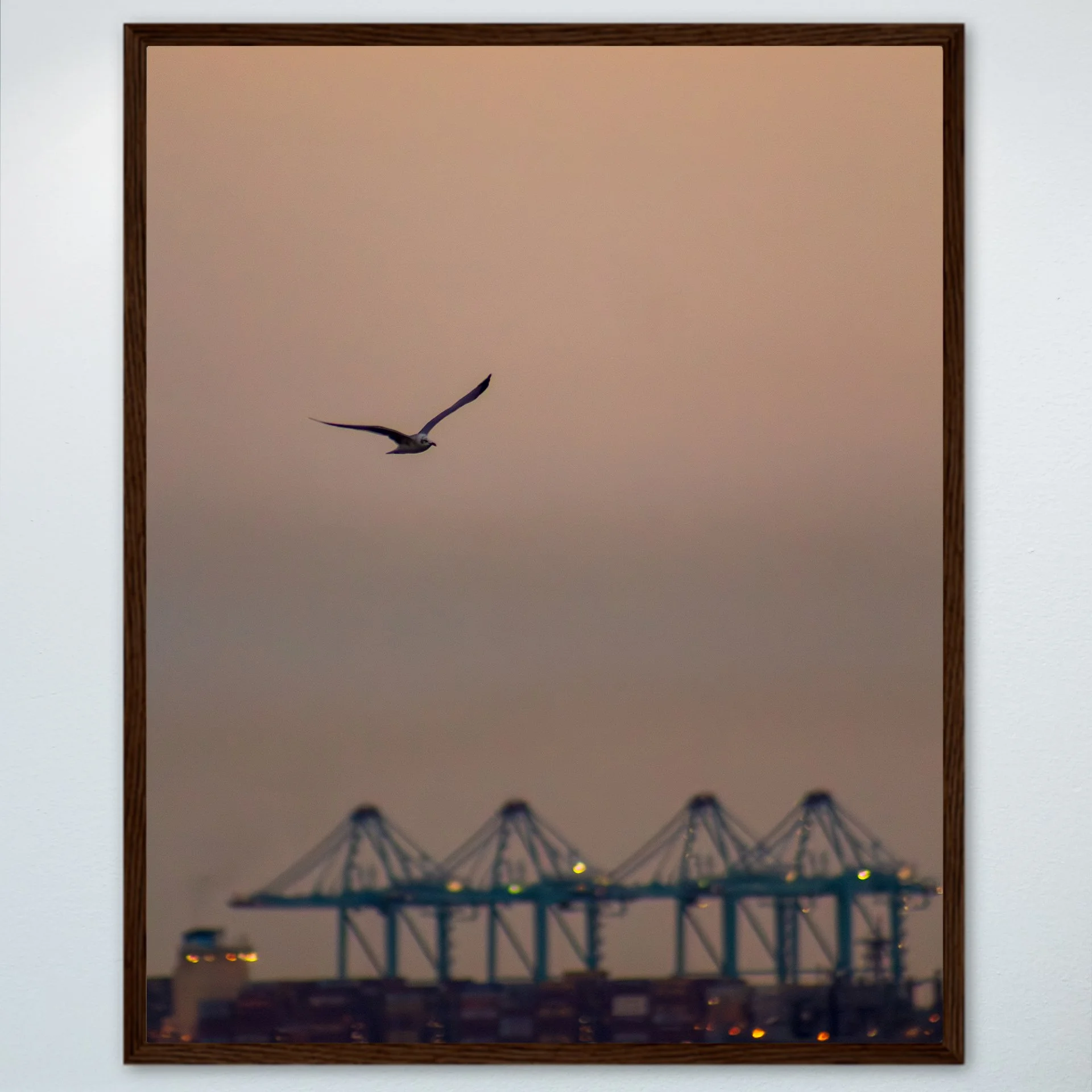 1:1 Seagull with Terminal Cranes- Wood.jpg