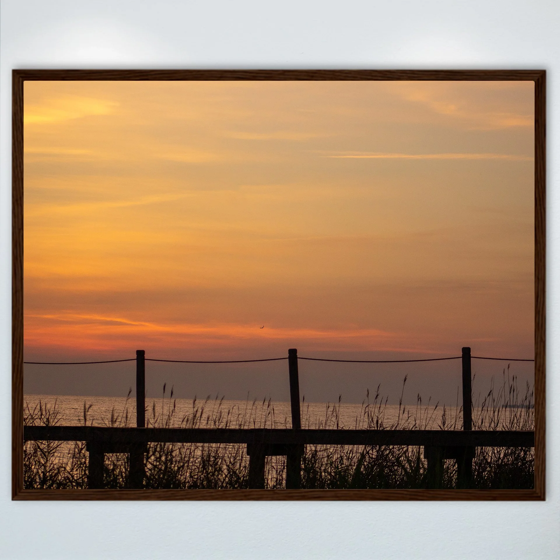 1:1 Sound Sunset with Seagull, Pier and Oats- Wood.jpg
