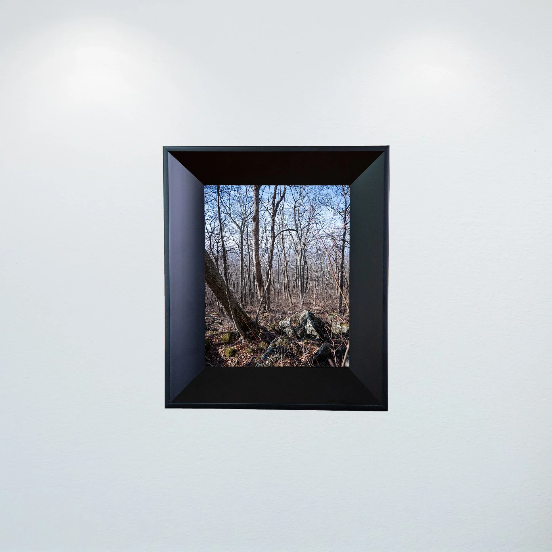 1:1 Shenandoah National Park Forest during Winter- Mini.jpg