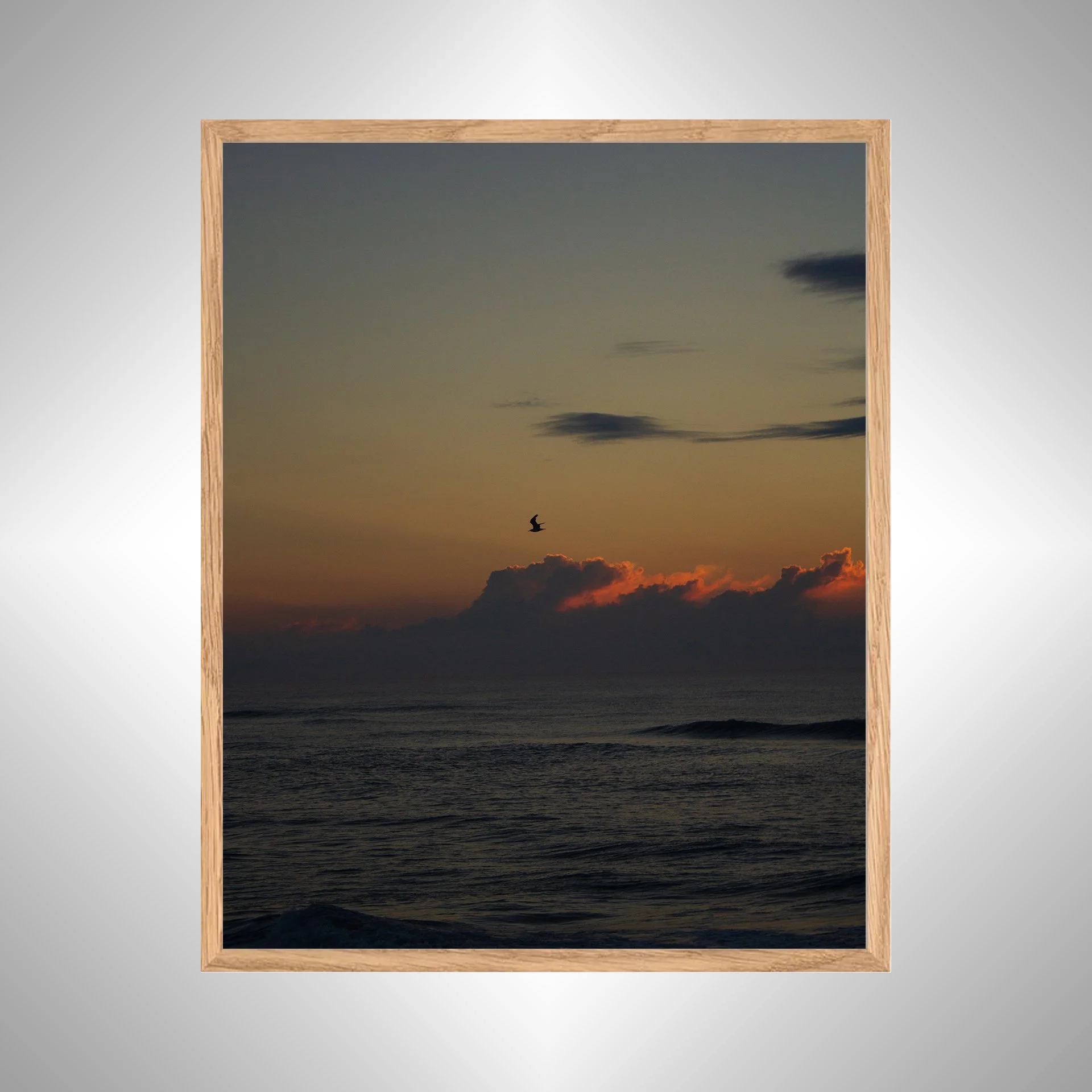 1:1 Cloudy Sunrise Soaring Seagull- White Wood copy NATTY.jpg