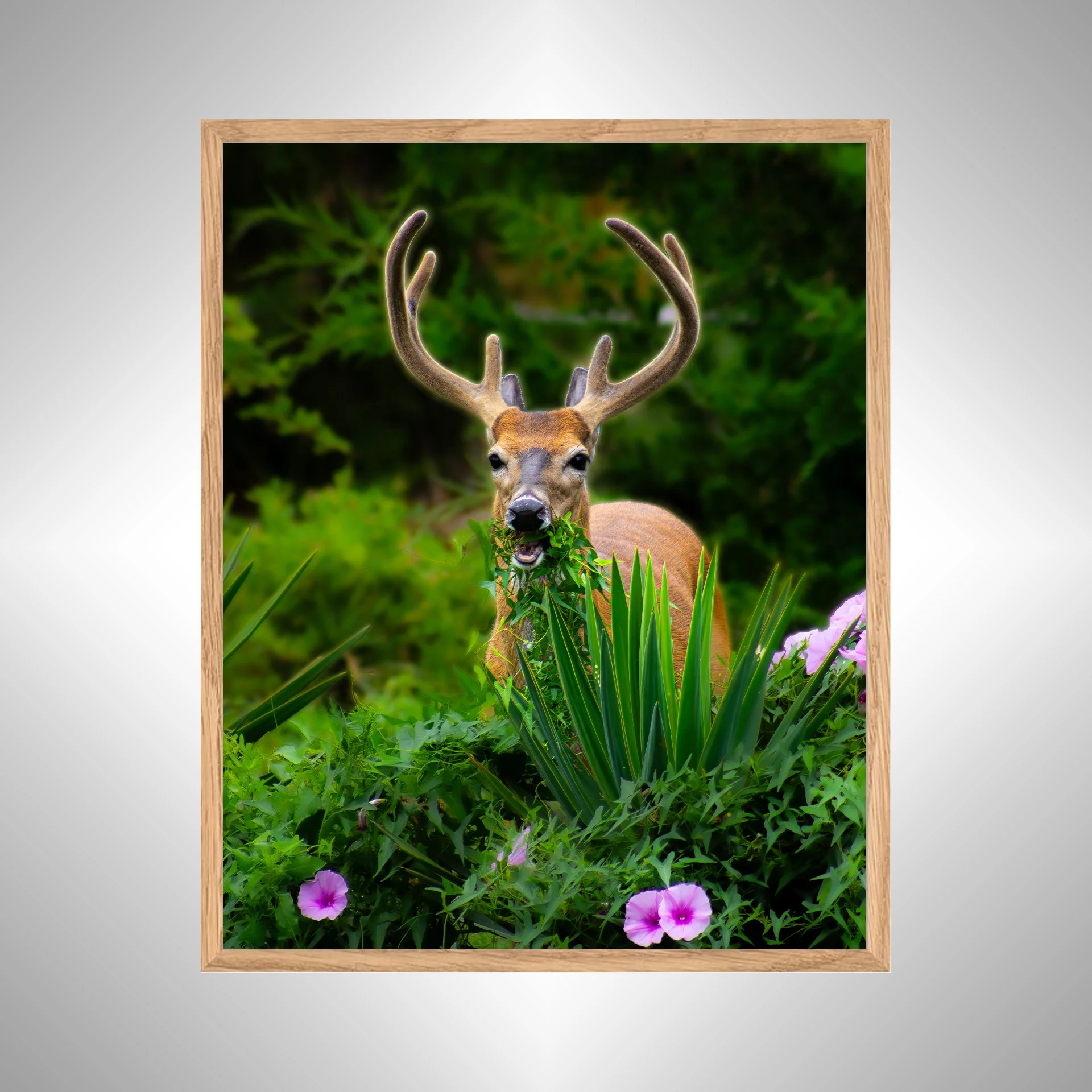 1:1 Deer Dinner in Hatteras- White Wood copy NATTY.jpg