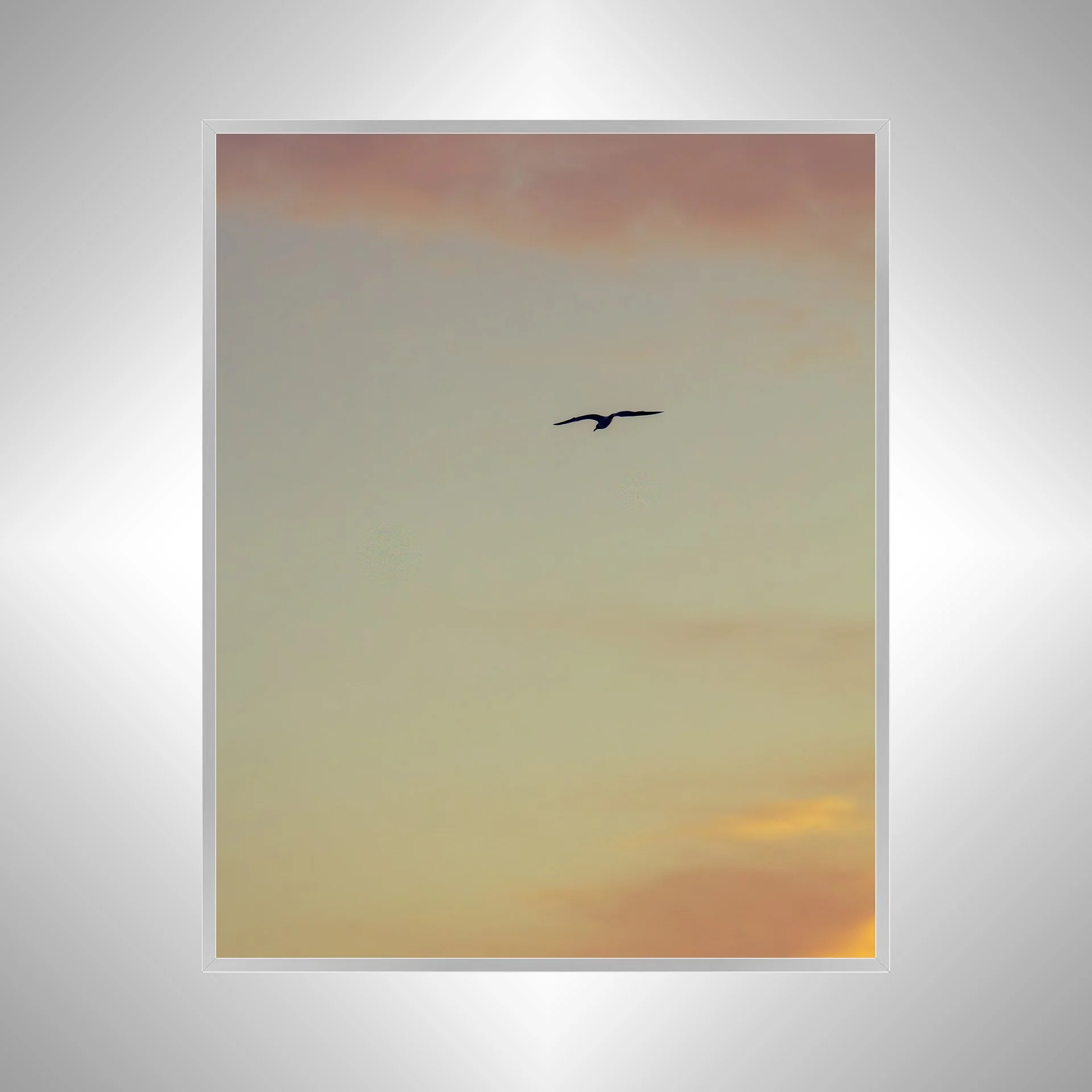 1:1 Seagull Soaring towards Pink & Orange Clouds- silver.jpg