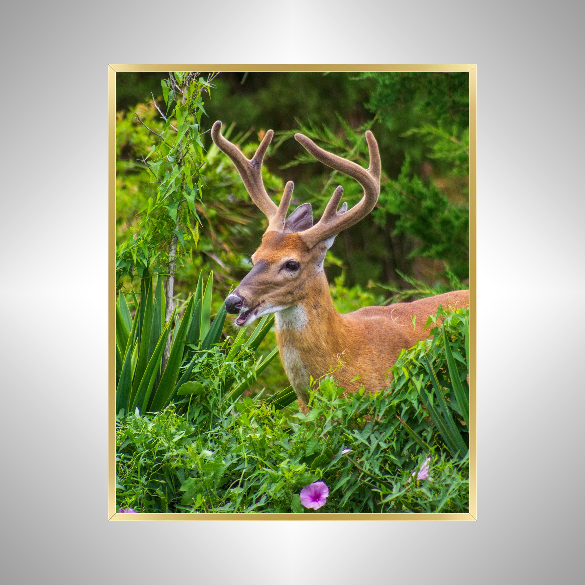 1:1 Deer Talk- Gold Metal.jpg