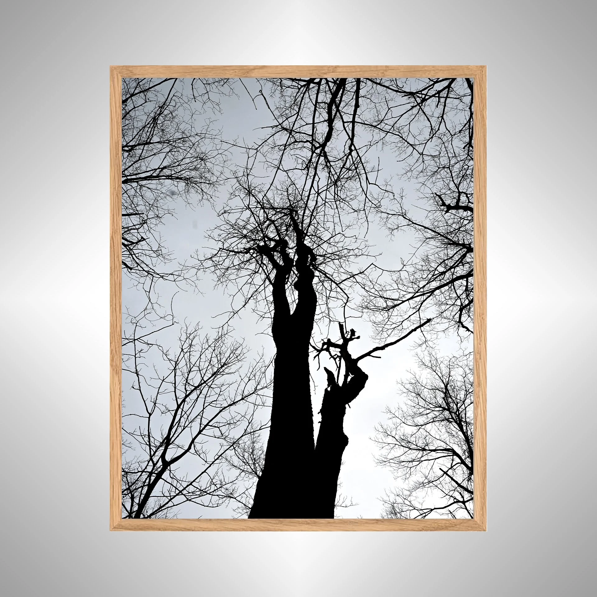 1:1 Nellysford Tree Undershot- White Wood copy NATTY.jpg