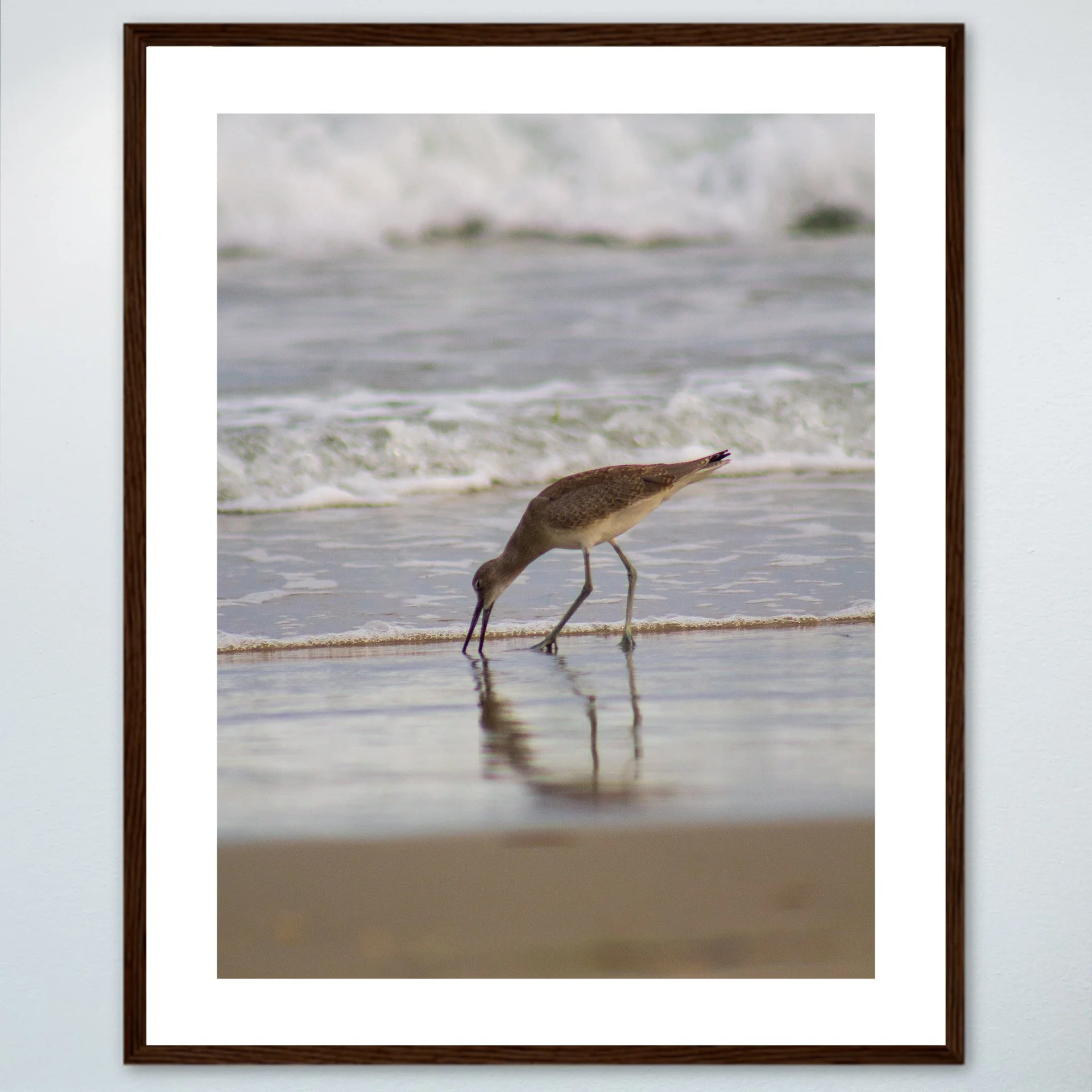 1:1 Willet Eating Reflection- Wood w: Border.jpg