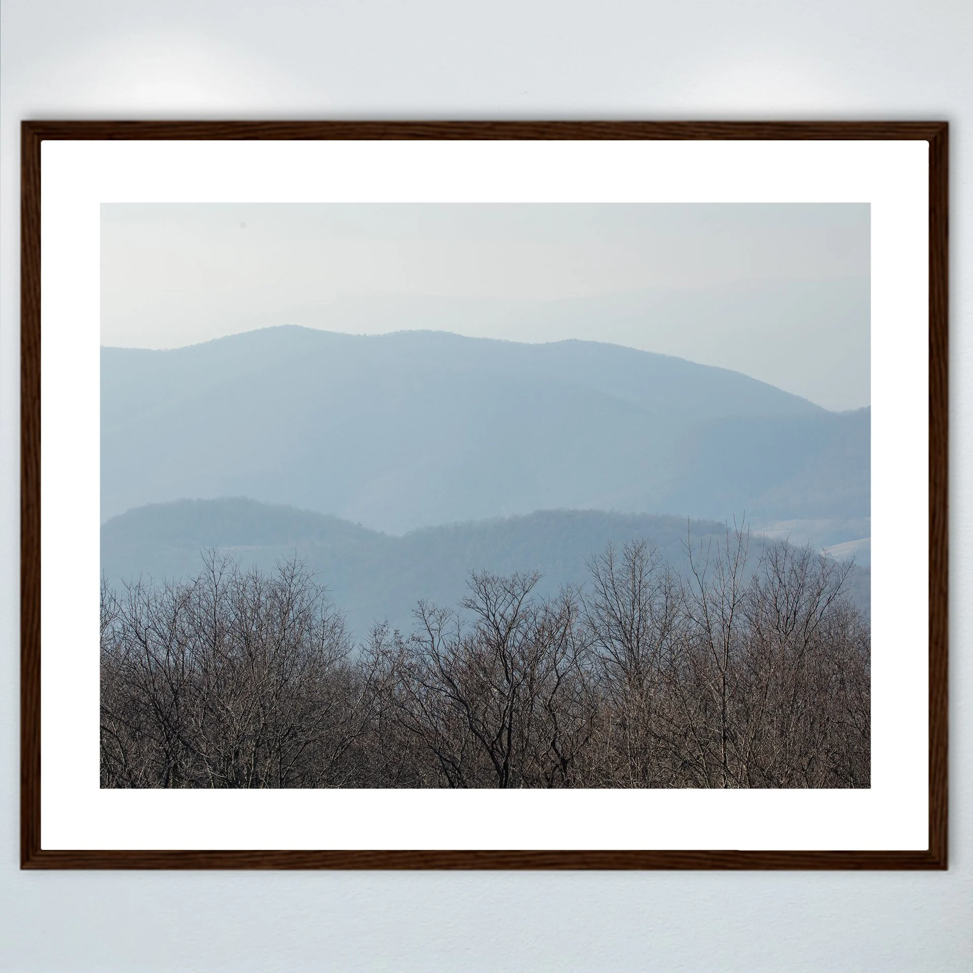 1:10 Shenandoah Mountain Layers- Wood w: Border.jpg