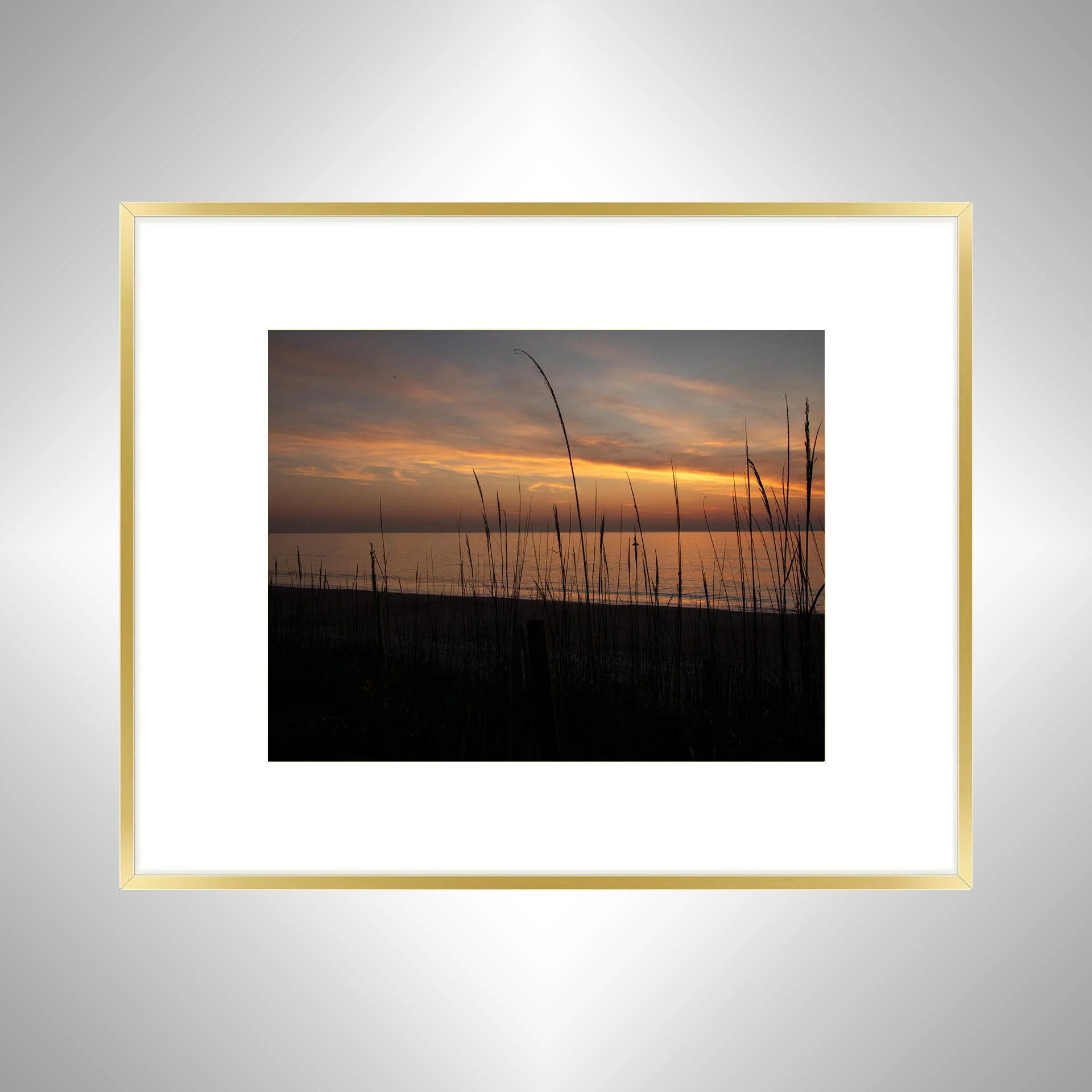 1:1 Sunrise behind Dunegrass- Gold w: Border.jpg