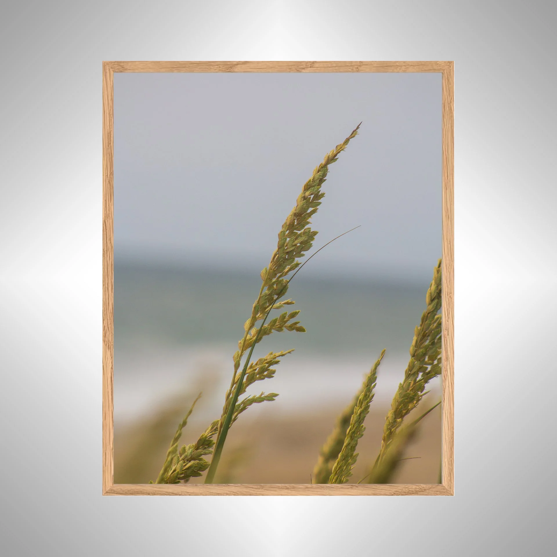 1:1 Rodanthe Dune Oats Single- White copy NATTY.jpg