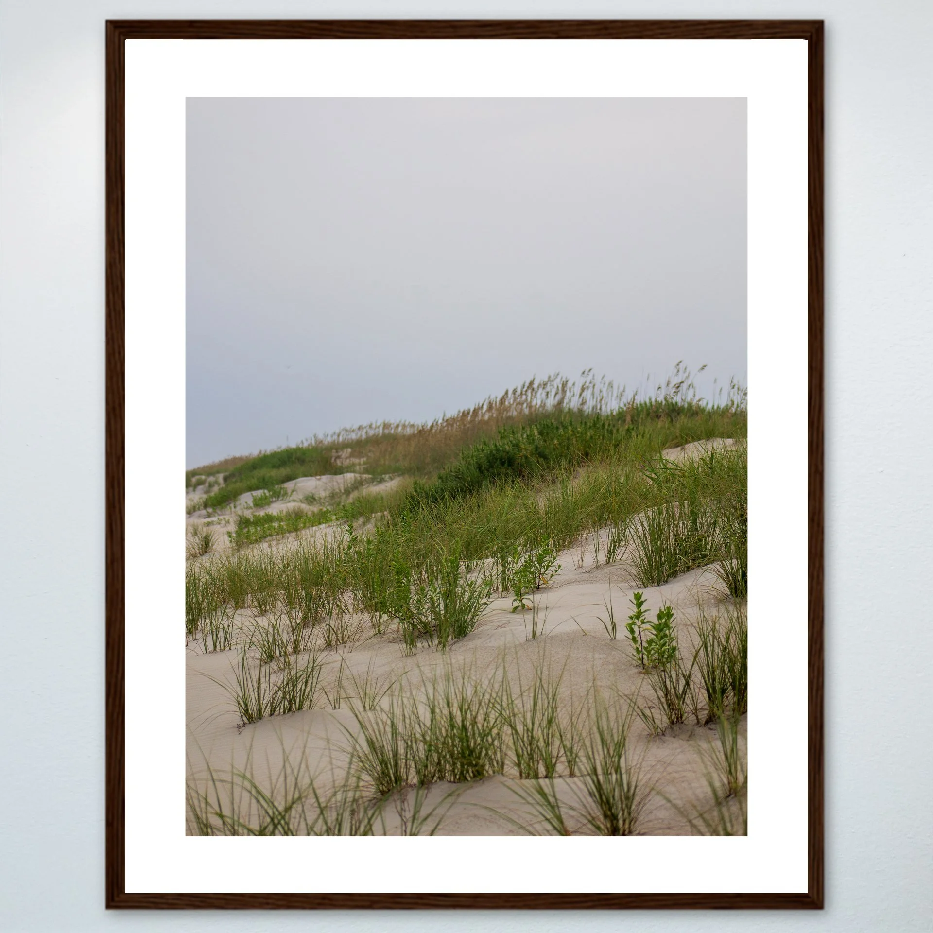 1:10 Ocracoke Dune Oats (Portrait)- Wood w: Border.jpg