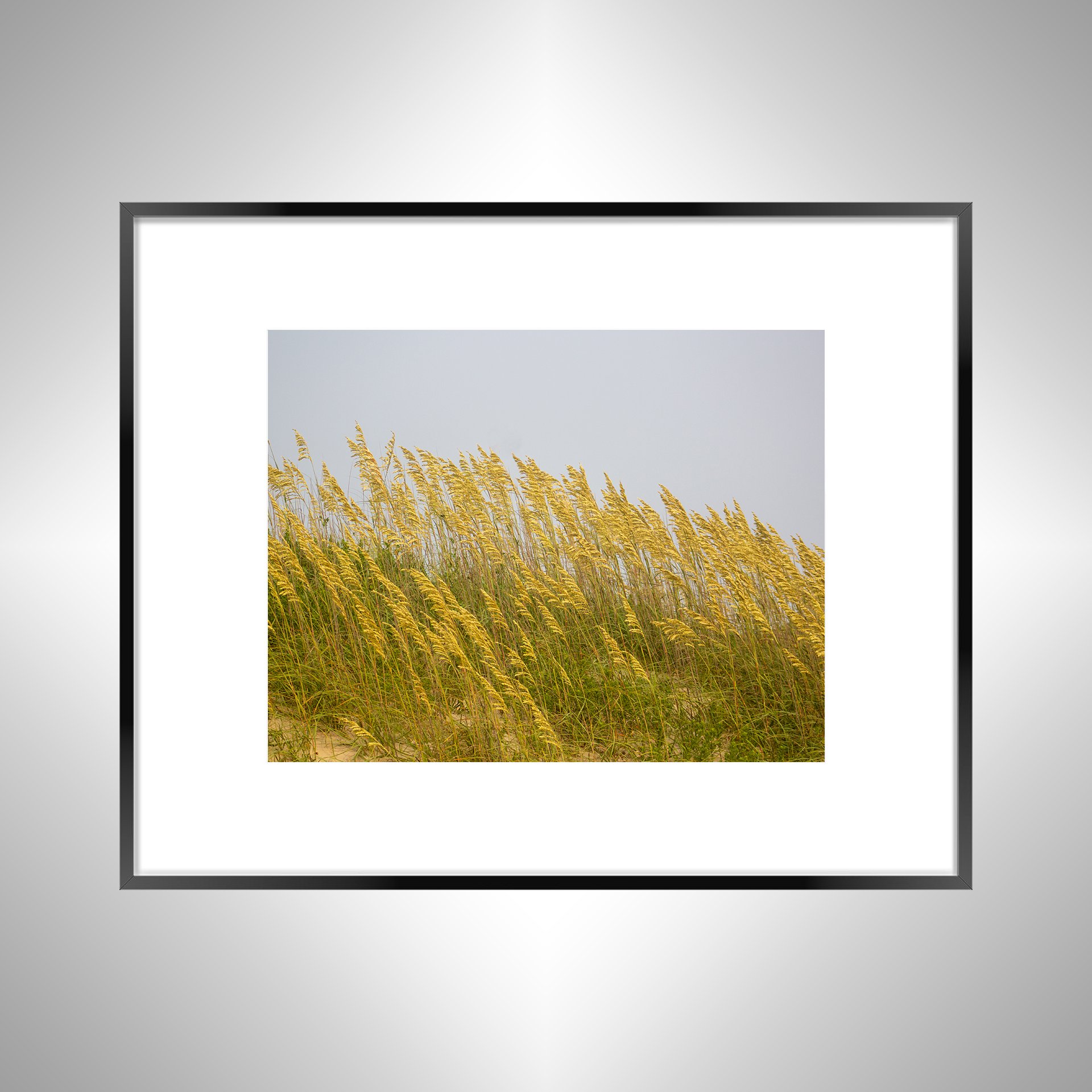 1:1 Rodanthe Dune Oats (Landscape)- Black w: Border.jpg