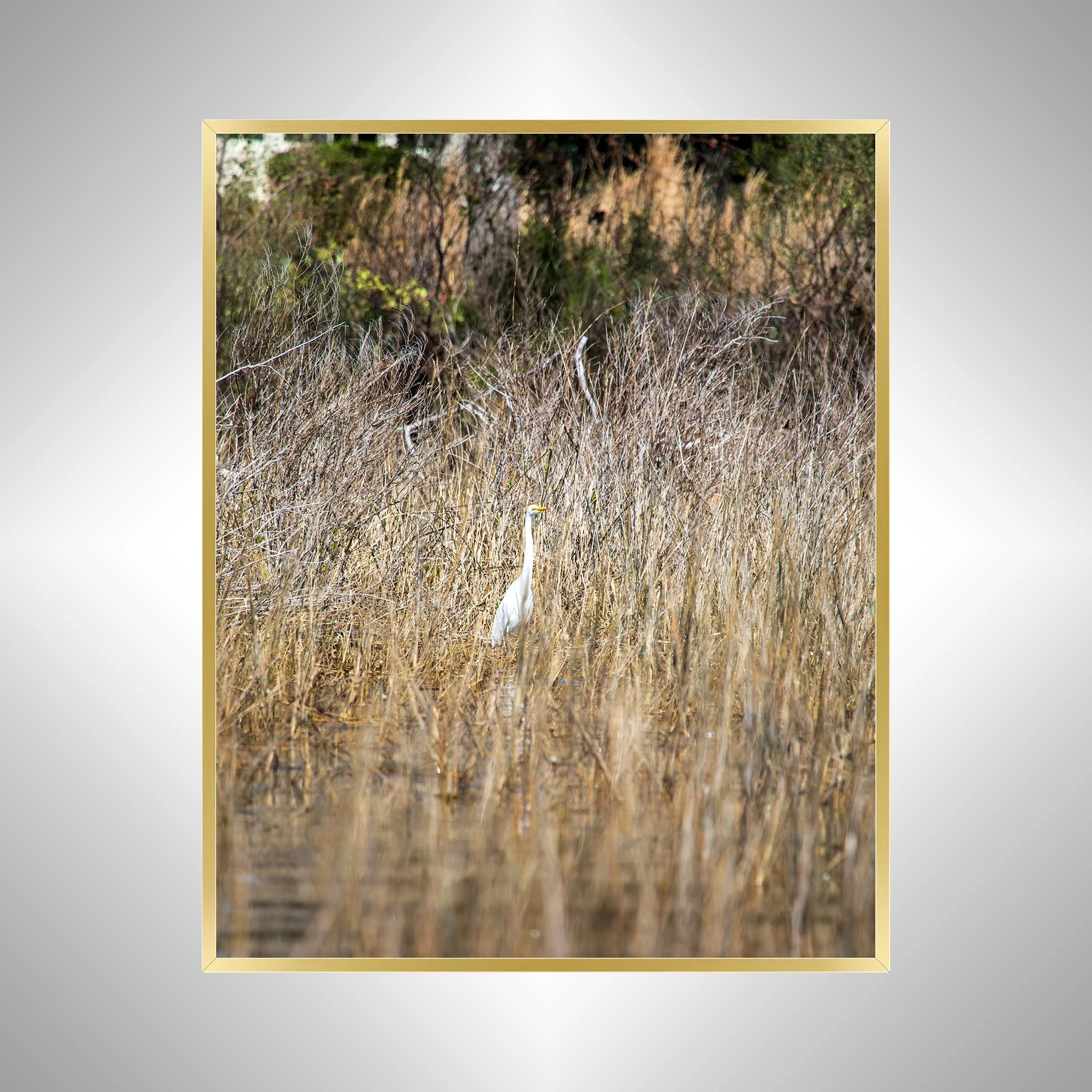 1:1 Wading Egret- Gold.jpg
