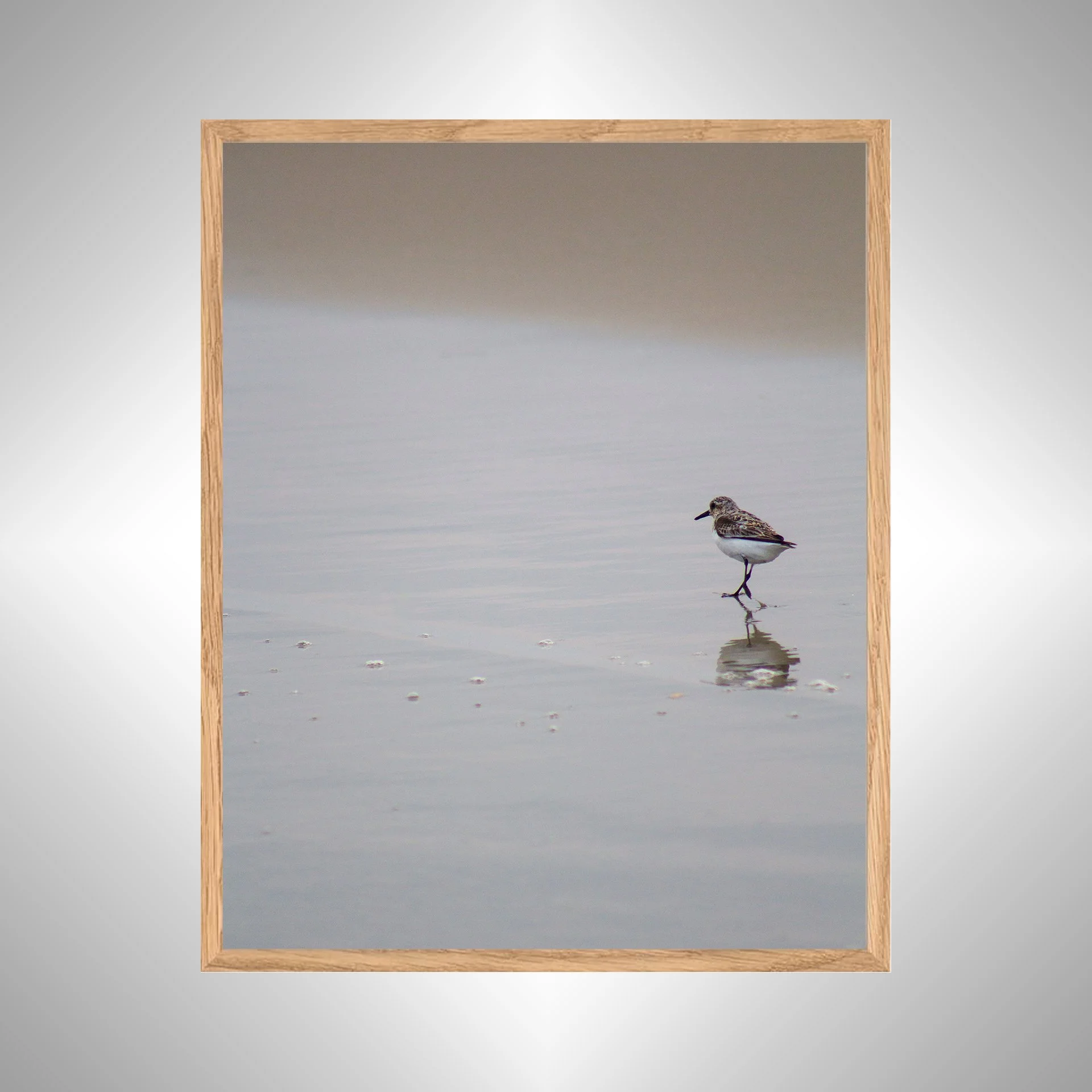 1:1 Sanderling Reflection- White copy NATTY.jpg