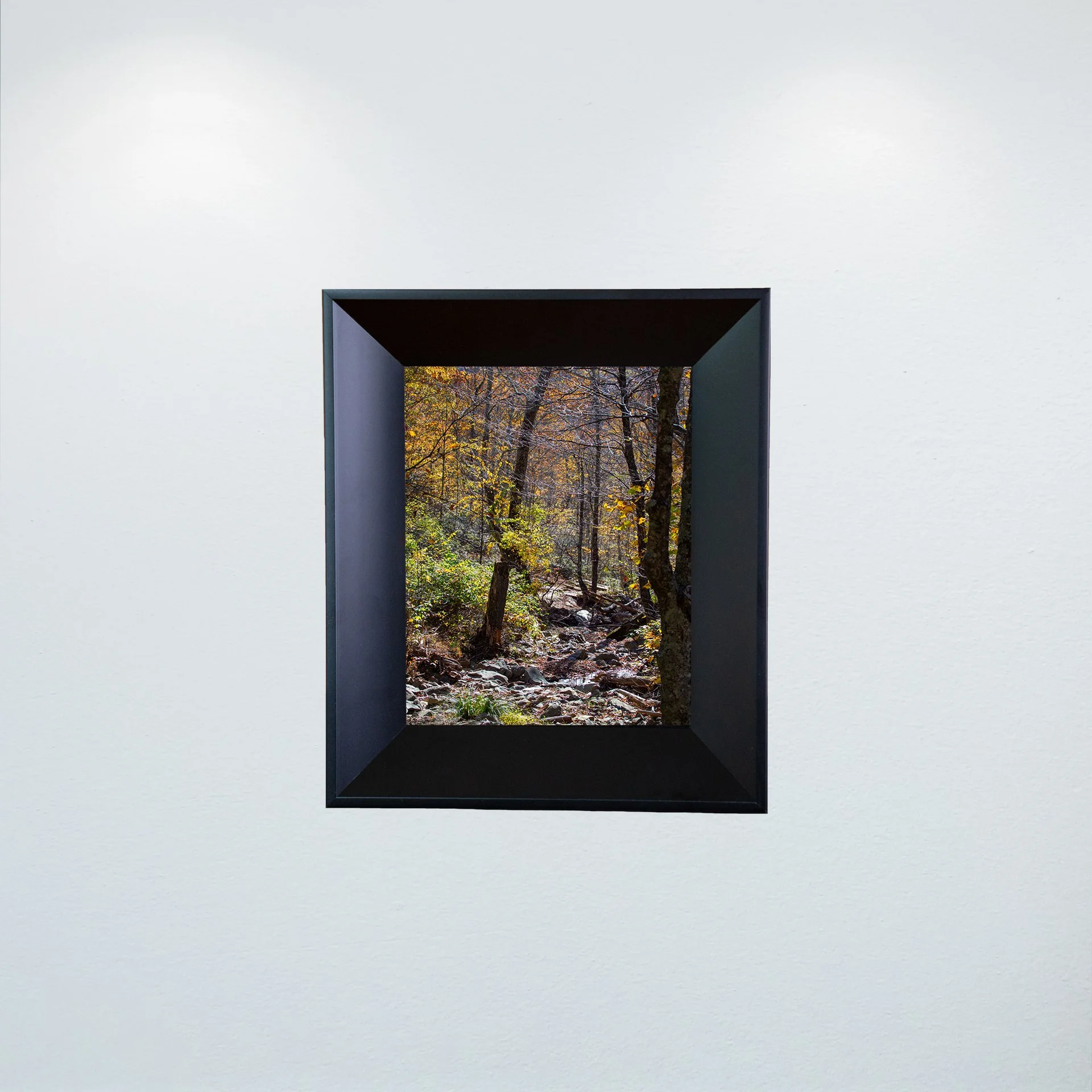 1:1 Shenandoah National Park Rocky Trail- Mini.jpg