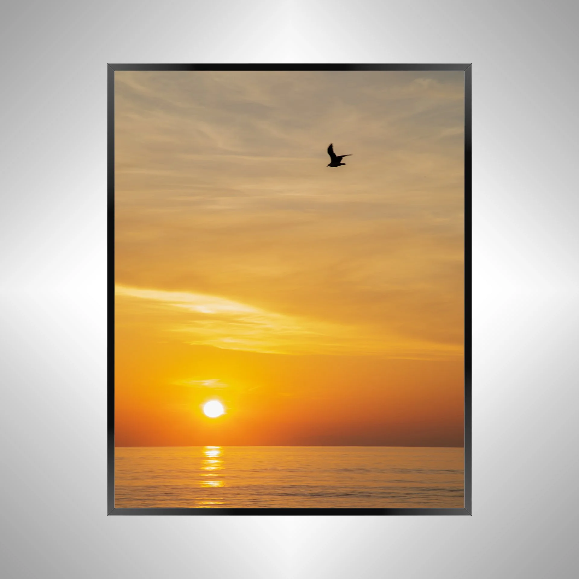 1/1 Seagull Sunrise