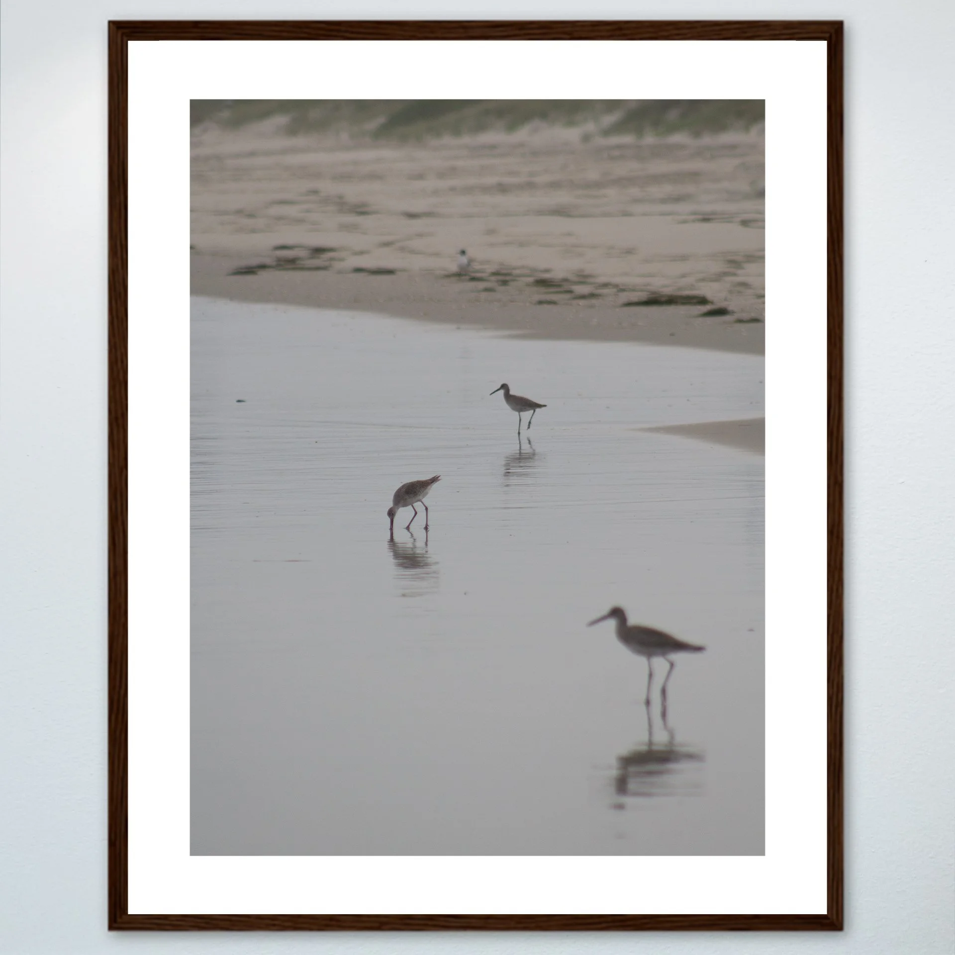 1:1 Three Willets Reflection- Wood w: Border.jpg