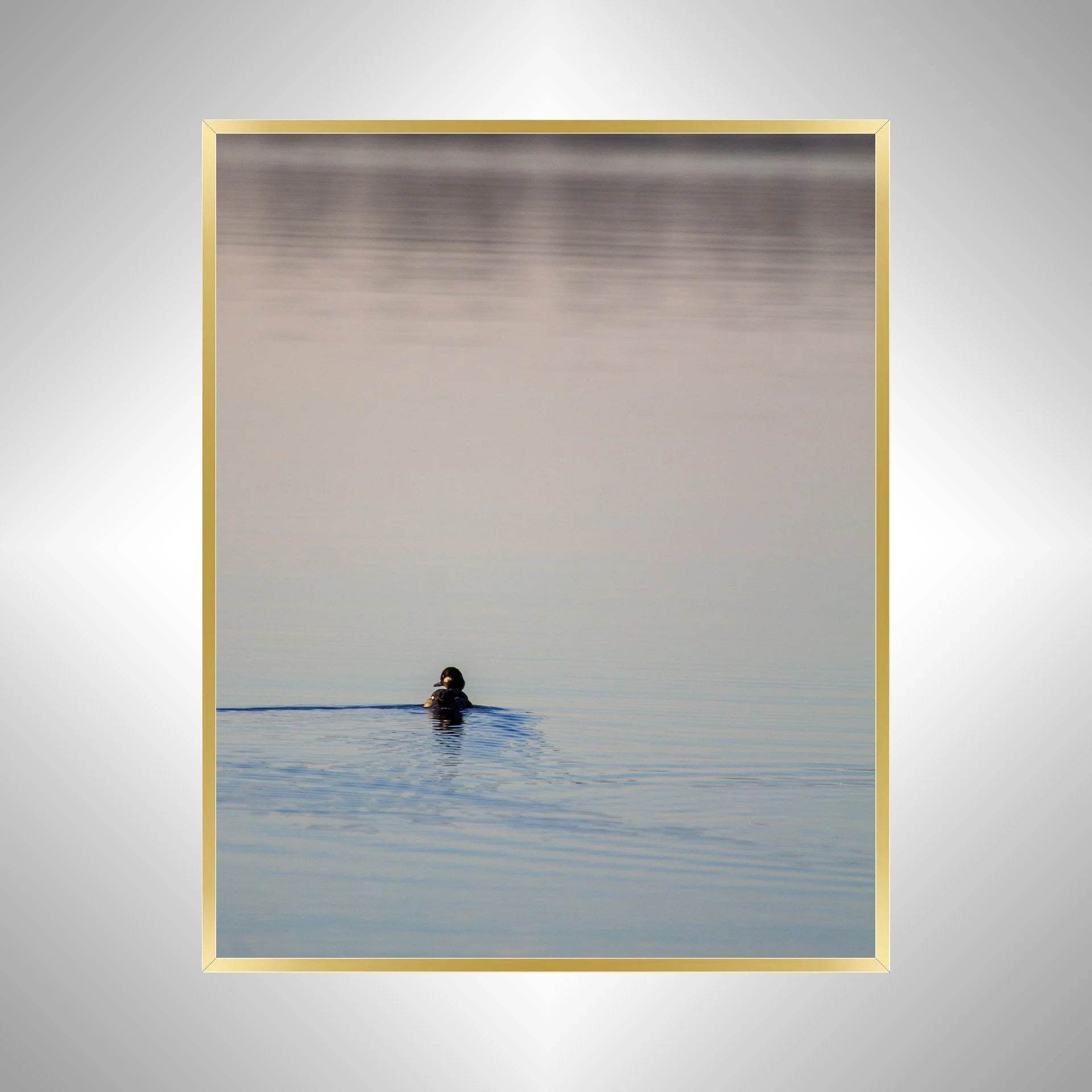 1:10 Bufflehead on Lafayette- Gold.jpg